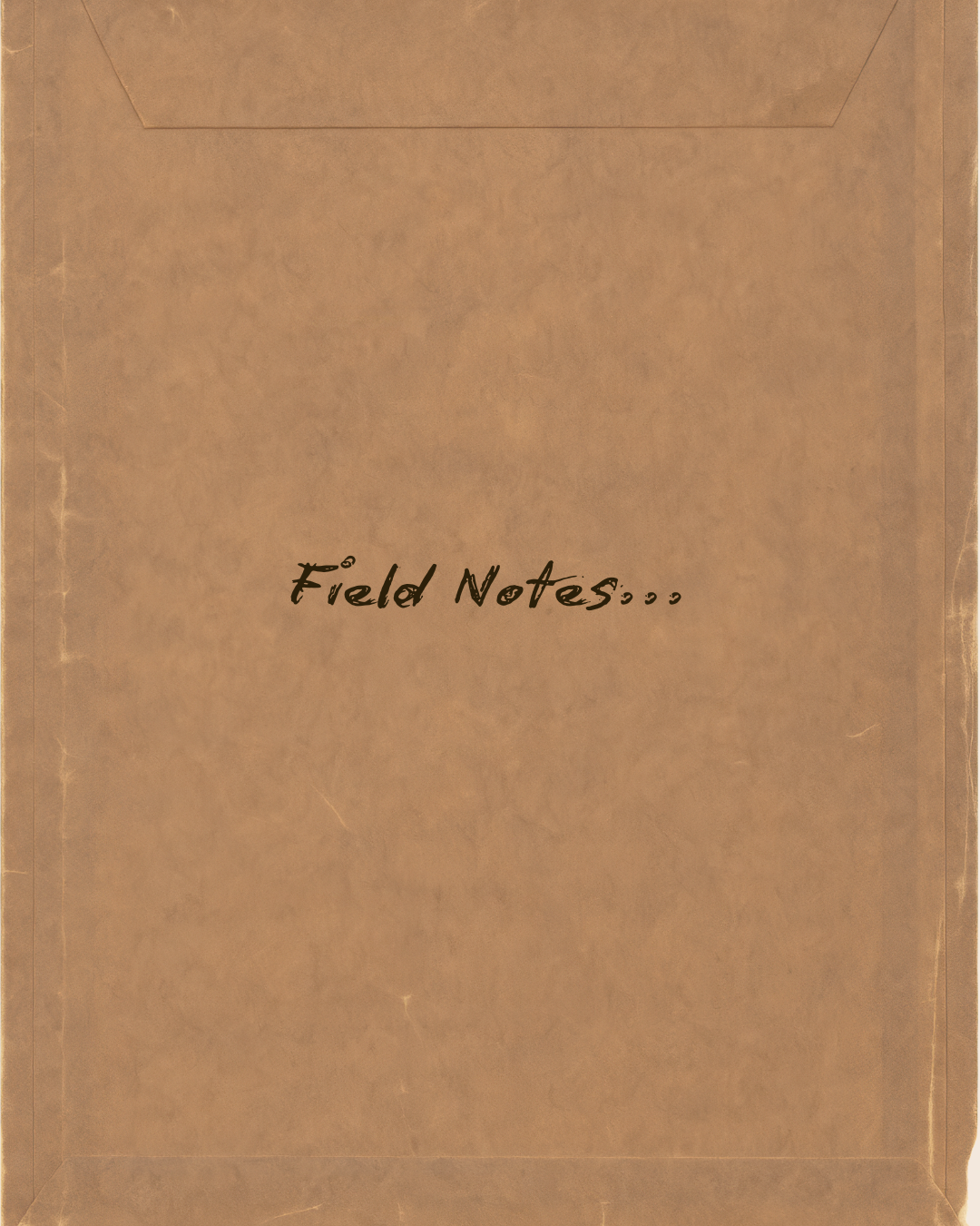 personal interiors within land.png