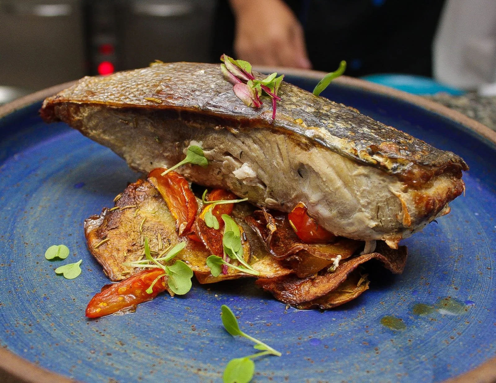 WhatsApp Image 2022-05-03 at 11.39.33.jpeg