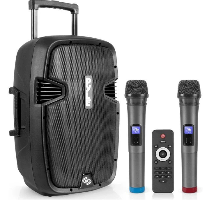 speaker and mics.jpg