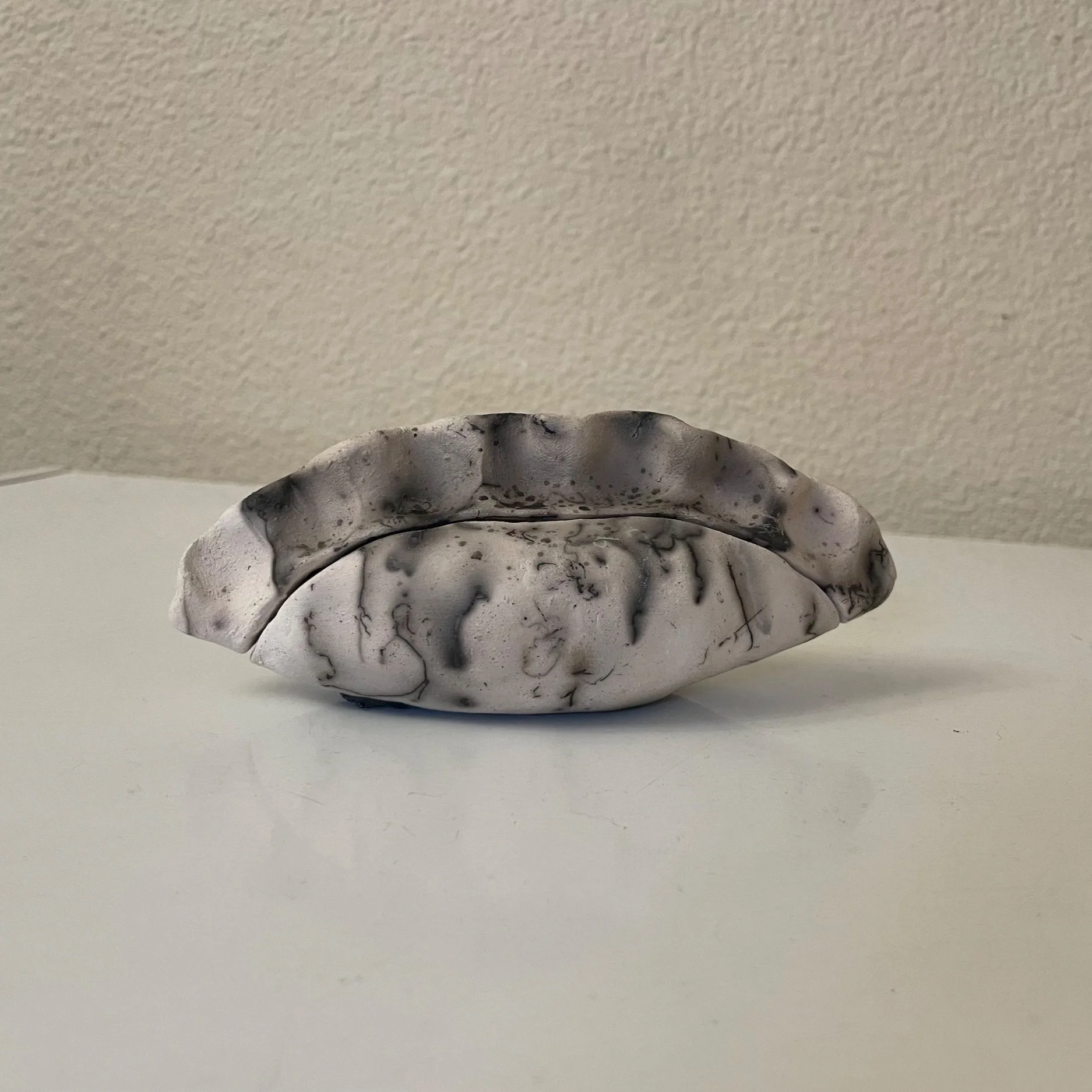 "Potsticker" [Horse Hair & Sugar Raku] (2024)