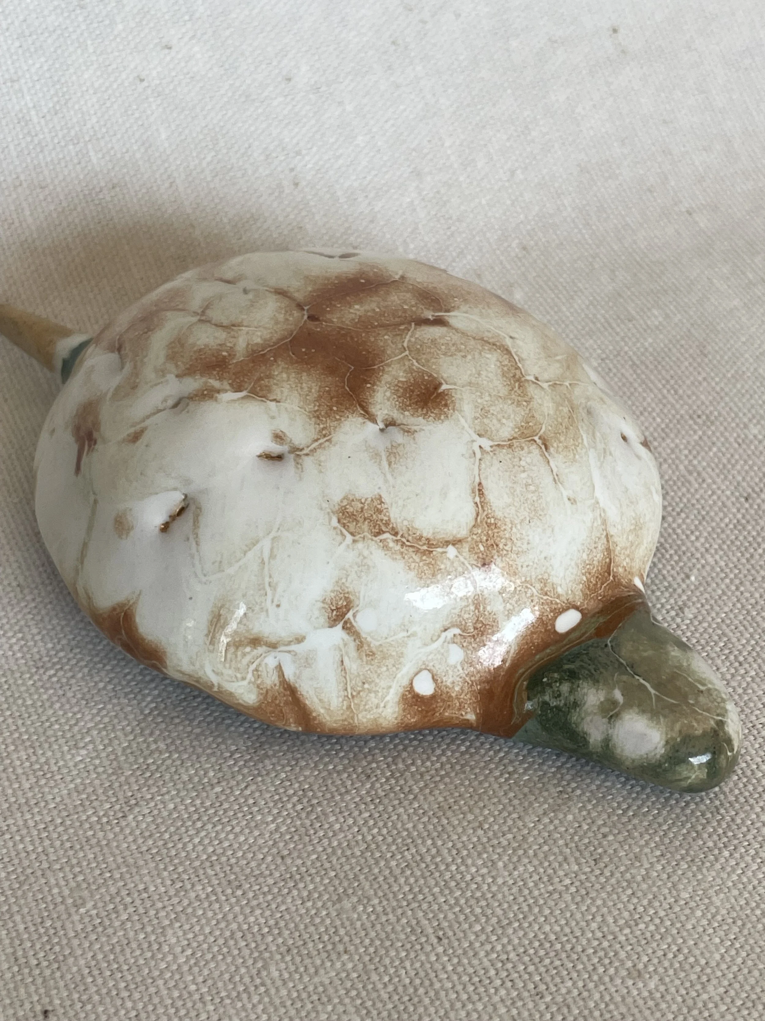 "Tiny Tim" the Desert Tortoise [Majolica & Studio UG] (2024)