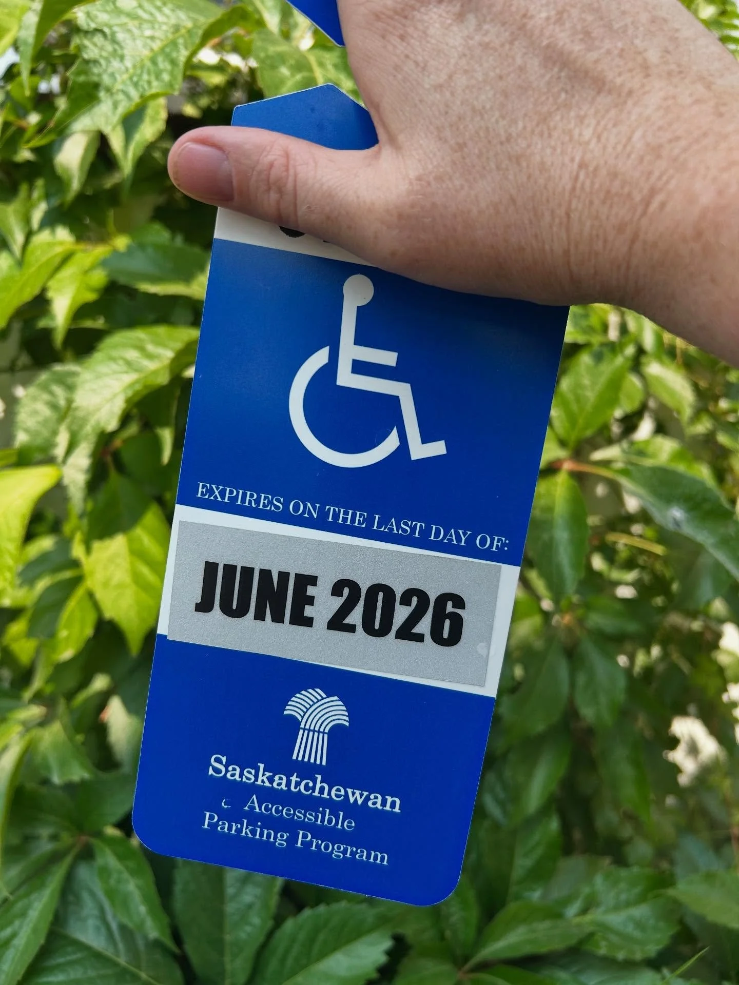 My husband tore his Achilles tendon two months ago, so we&rsquo;ve been sporting this parking pass wherever we drive while he continues the lengthy recovery. I was reflecting on our family of five going out together the last two months - my husband w