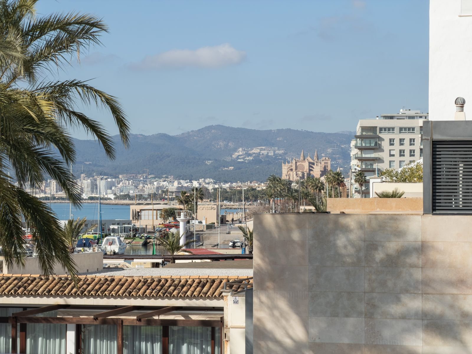 WhatsApp Image 2026-04-11 at 09.50.13 (6).jpeg