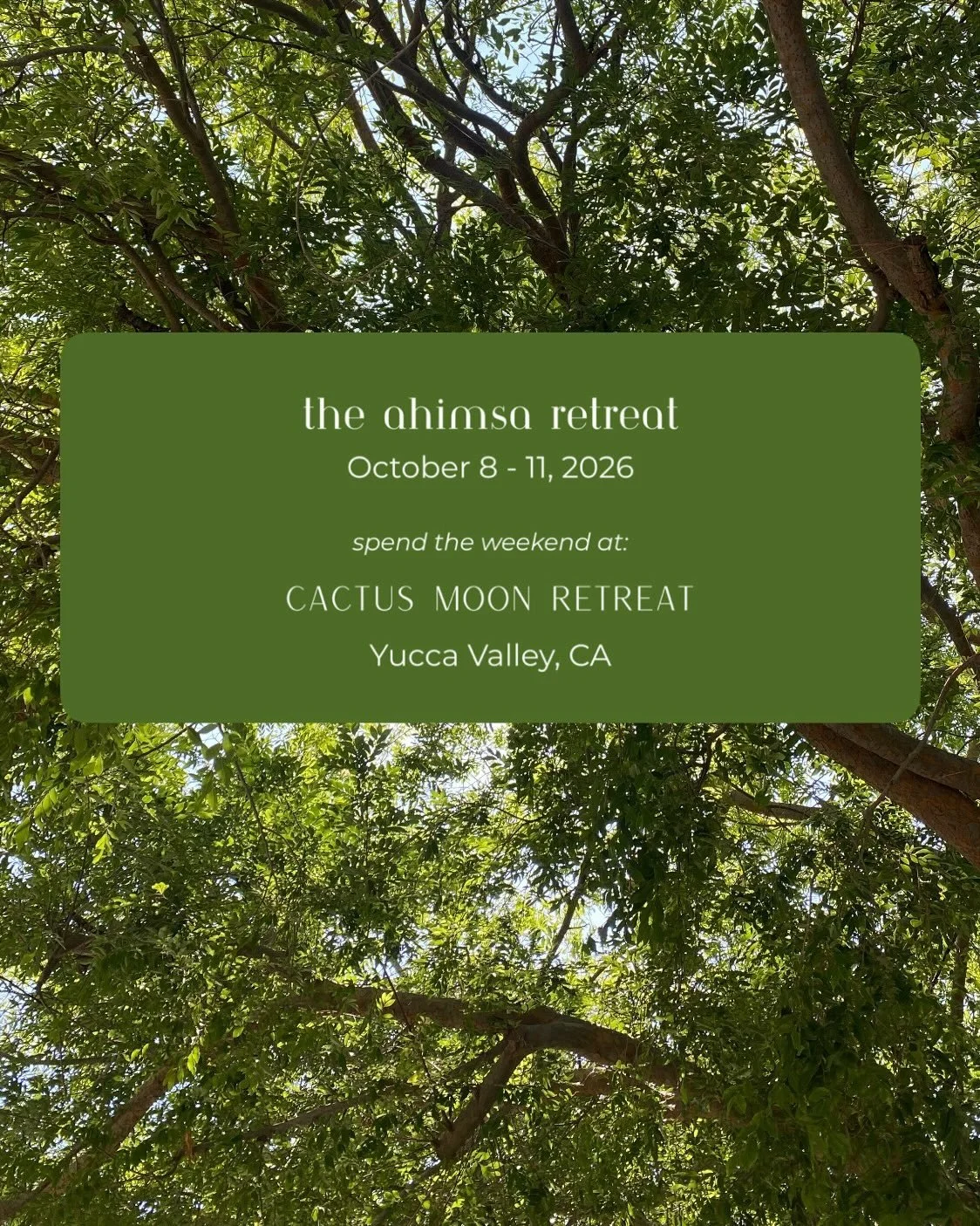 the ahimsa retreat 2026🌳

Retreat will be hosted at the magical property of @cactusmoonretreat during:

October 8 - 11, 2026
in Yucca Valley, close to Joshua Tree

Open enrollment begins this Saturday, April 25!✨

Emails go out tonight for those who