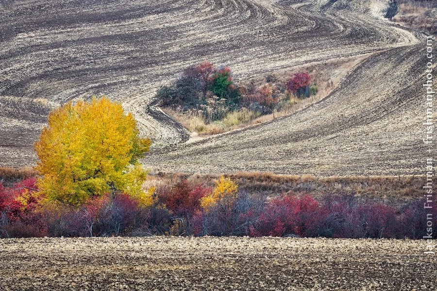 EDJE Community Meeting