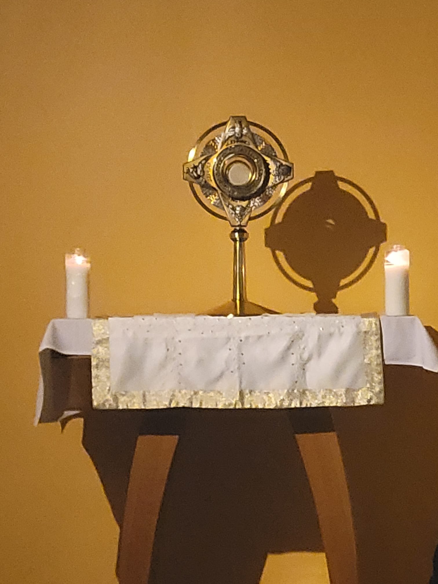 WhatsApp Image 2026-03-07 at 20.55.40.jpeg