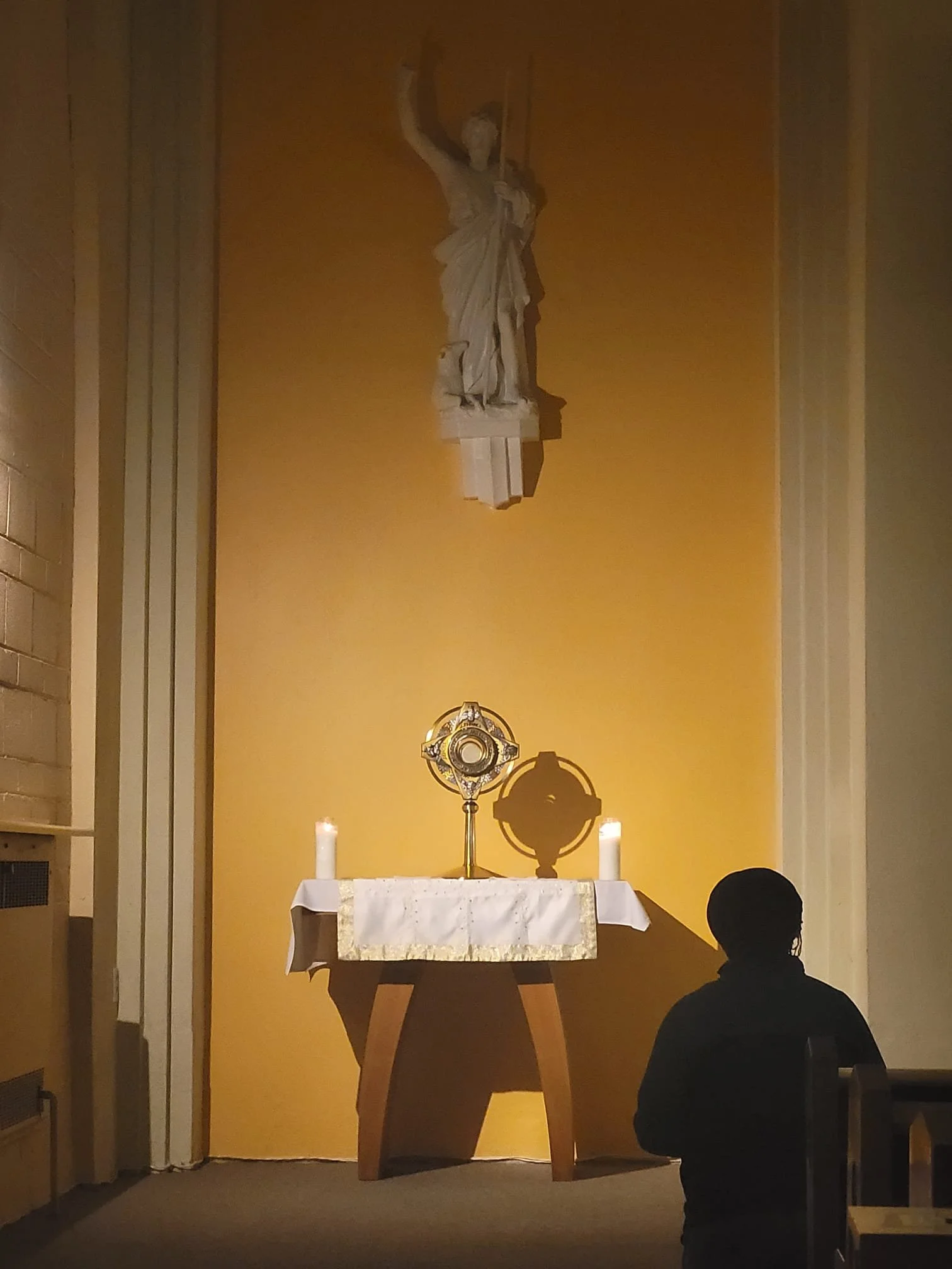 WhatsApp Image 2026-03-07 at 20.55.40 (1).jpeg