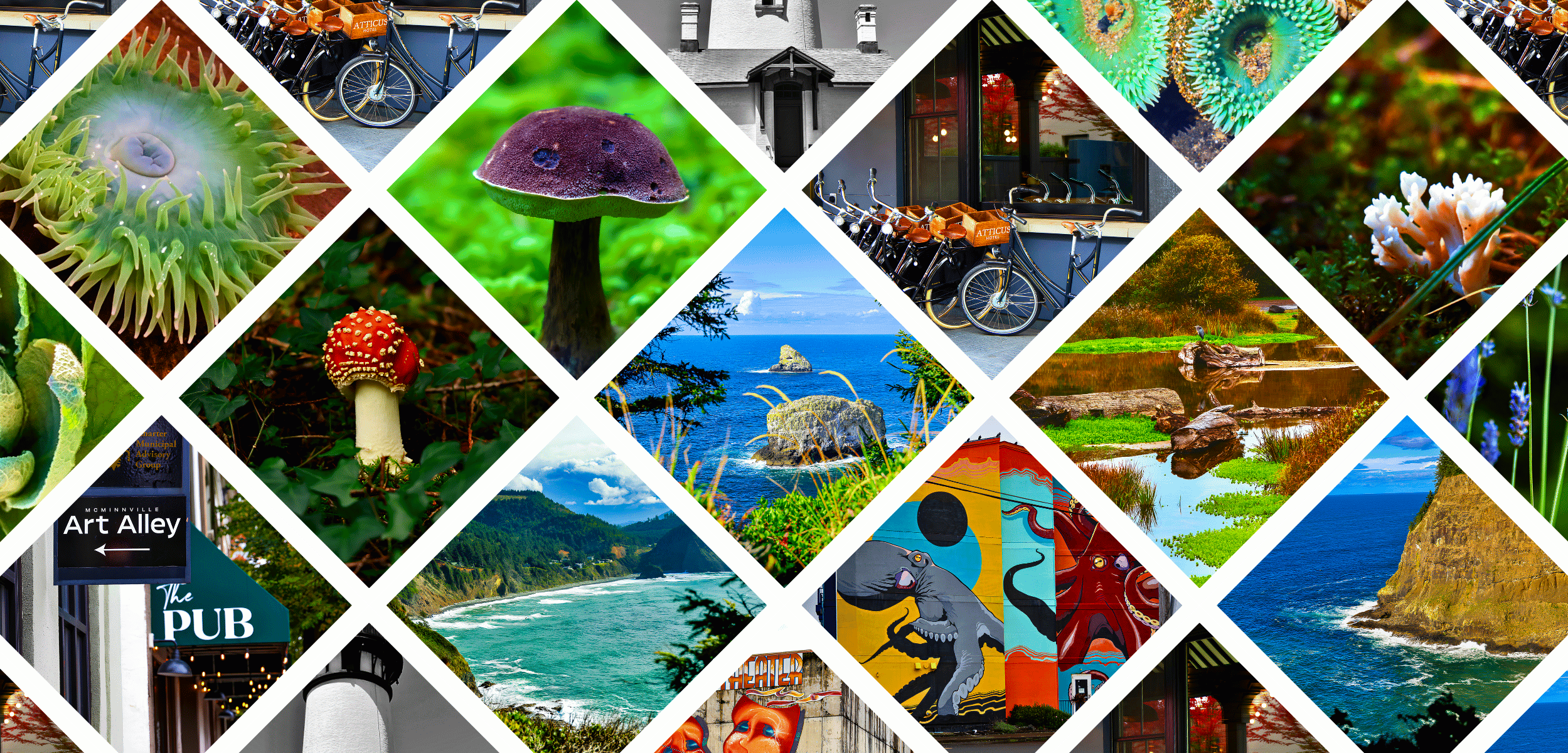 A collage of various images including marine life, mushrooms, bicycles, a house, ocean scenery, art alley sign, pub sign, and nature landscapes. Open Lens Company Media Marketing Oregon and Washington Websites Social Media Real Estate Events Marketin