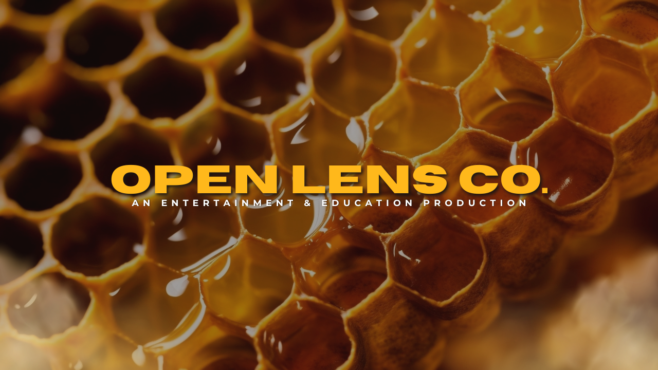 OpenLensCompanyLLCMarketingMedia.png