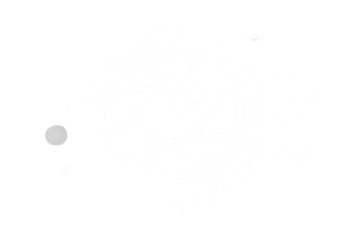 OPEN LENS COMPANY 