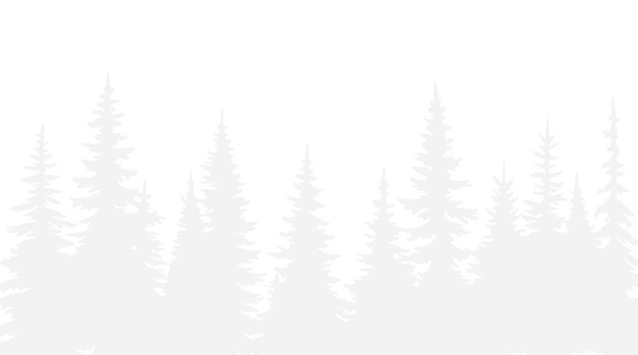 Silhouette of pine trees against a black background.
