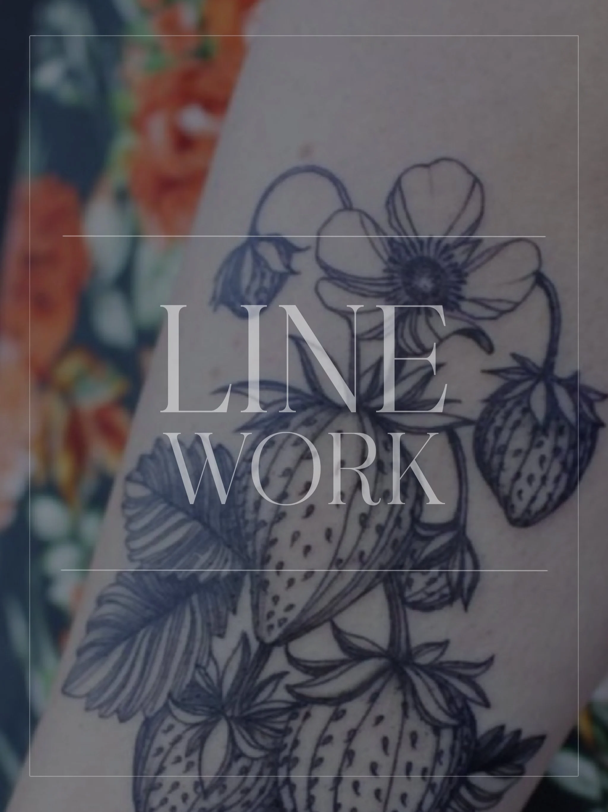 Untitled - August 11, 2024 09.35 10.JPG