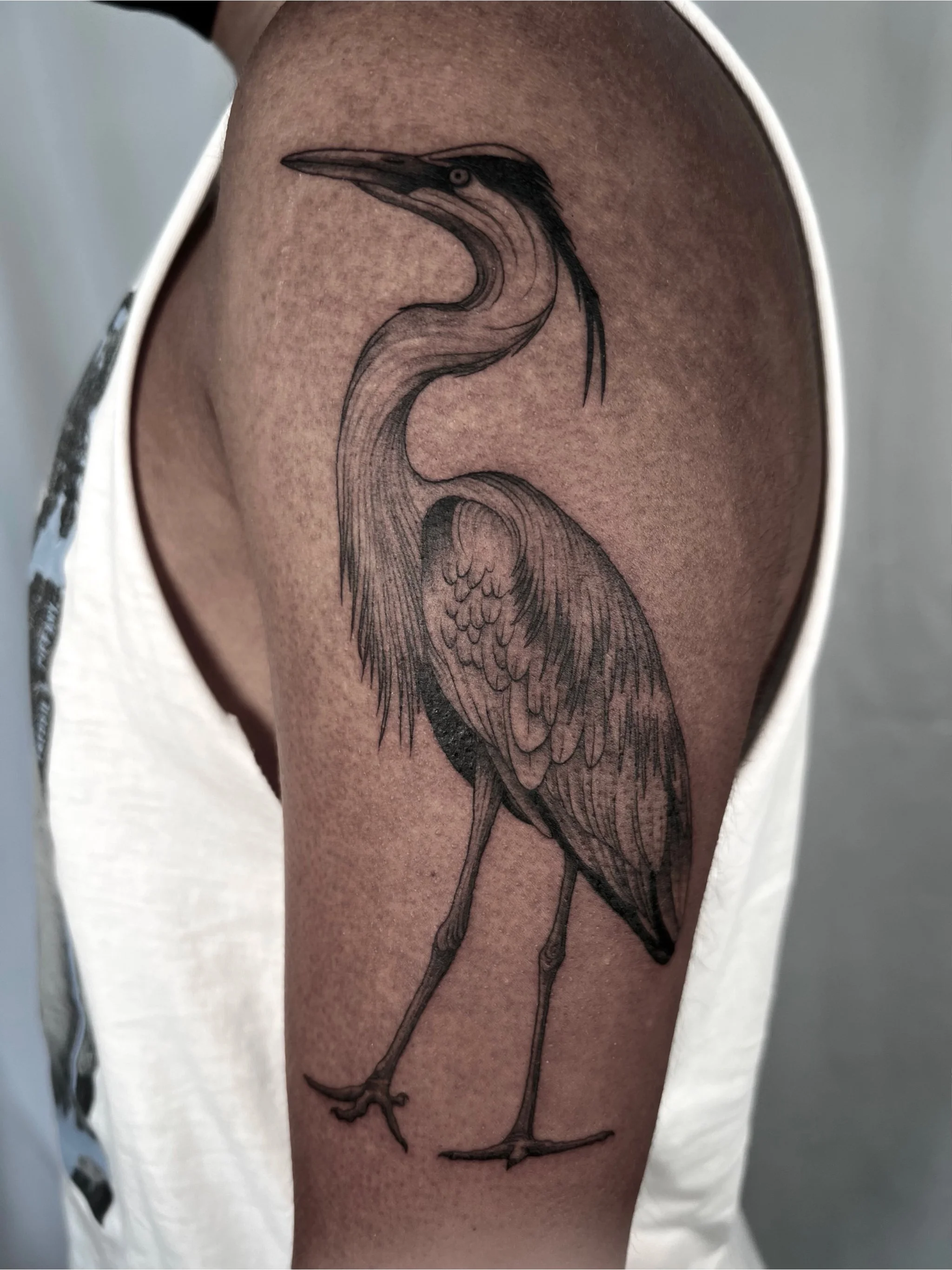 Untitled - October 10, 2024 18.13 7.jpg