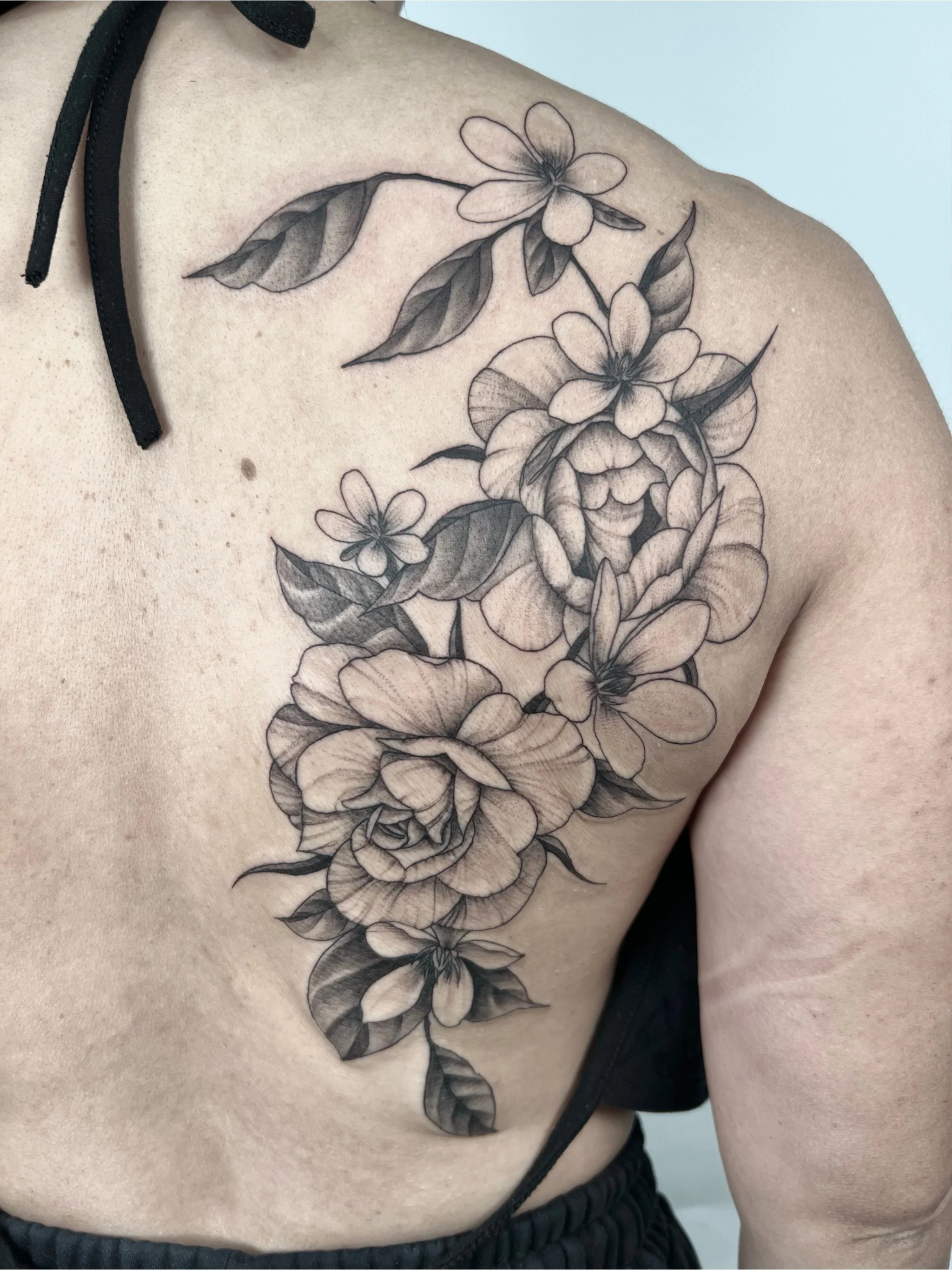 Untitled - October 10, 2024 18.13 9.jpg