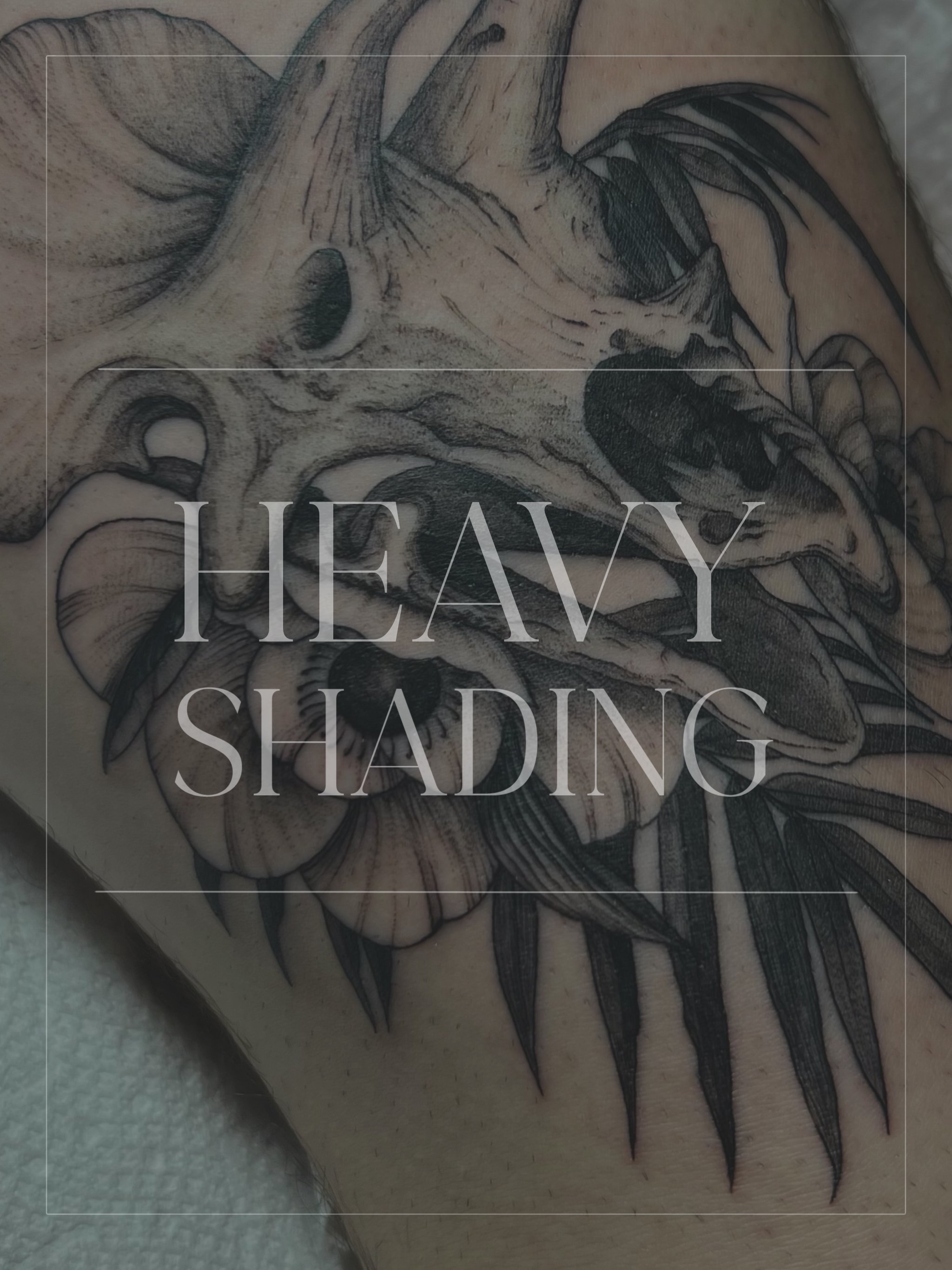 Untitled - August 11, 2024 09.35 6.JPG