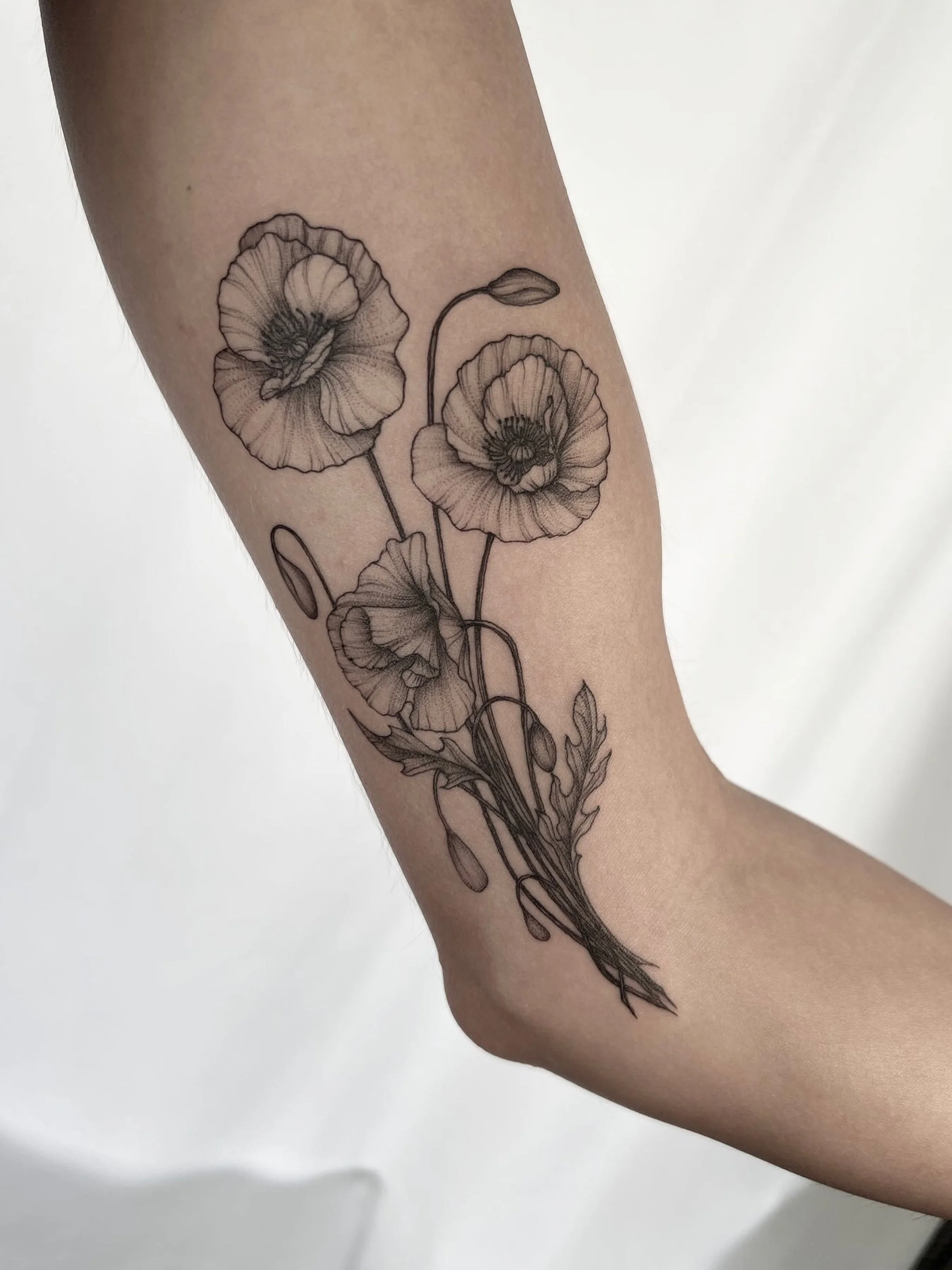 Untitled - October 10, 2024 18.13 14.jpg