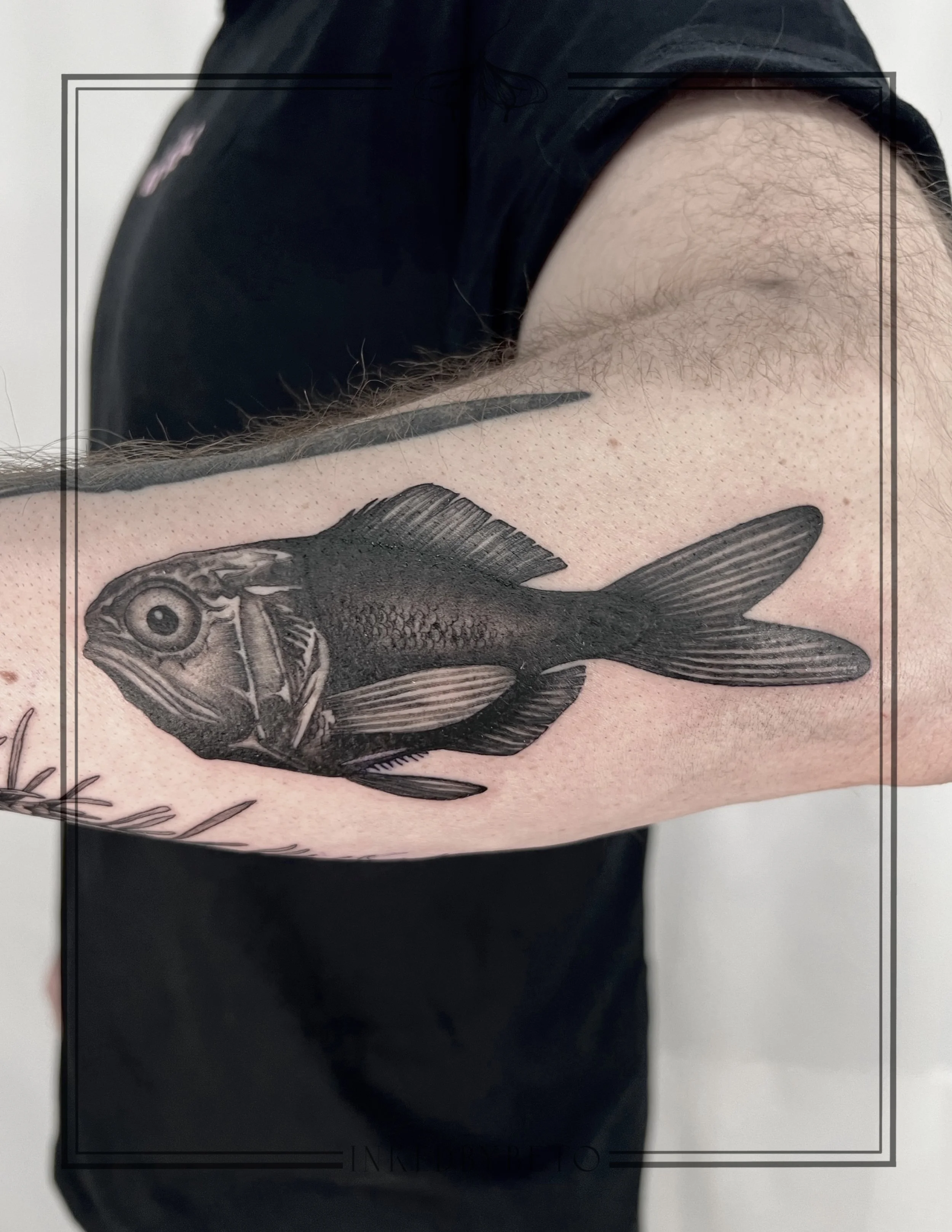 Untitled_Artwork 6.jpg