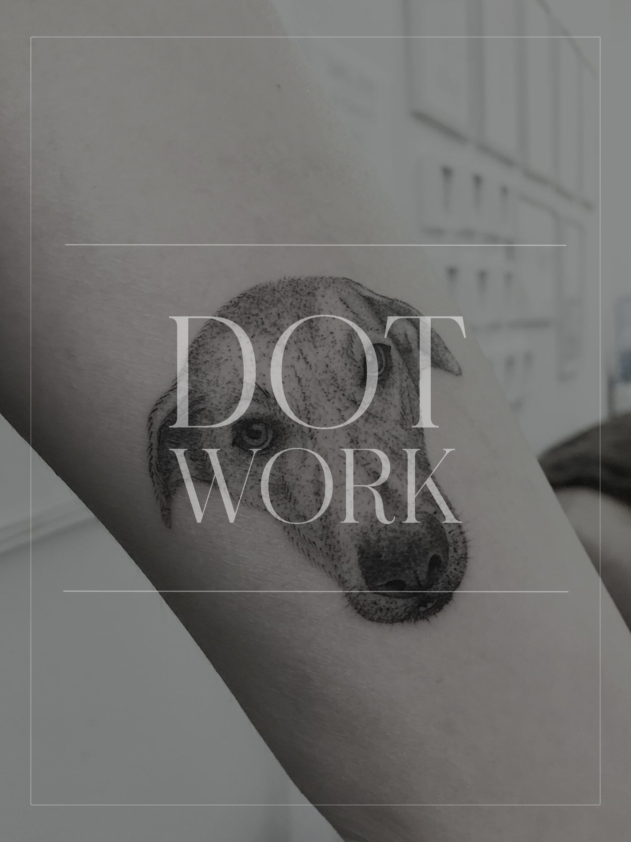 Untitled - August 11, 2024 09.35 11.JPG