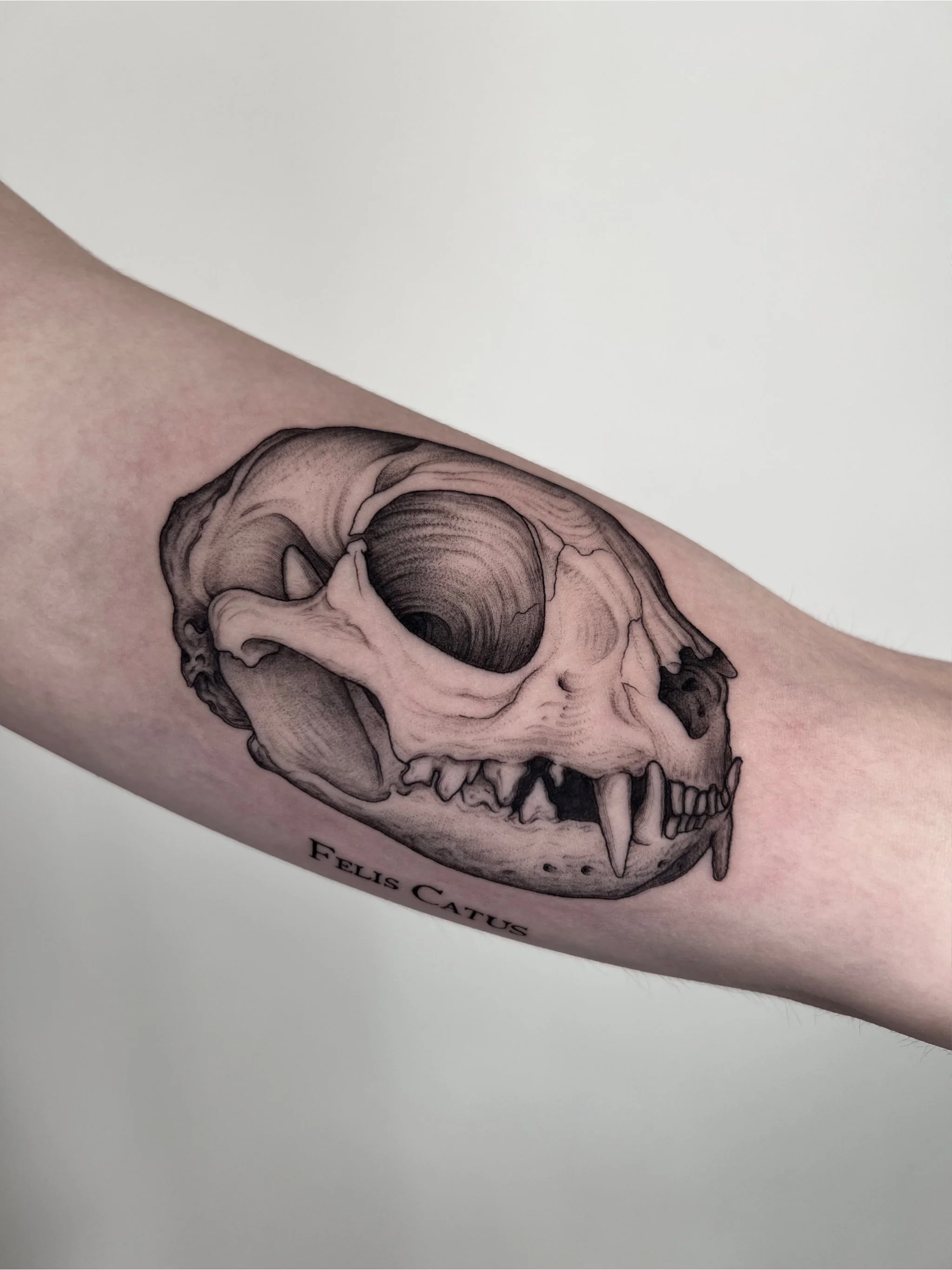 Untitled - October 10, 2024 18.13 13.jpg