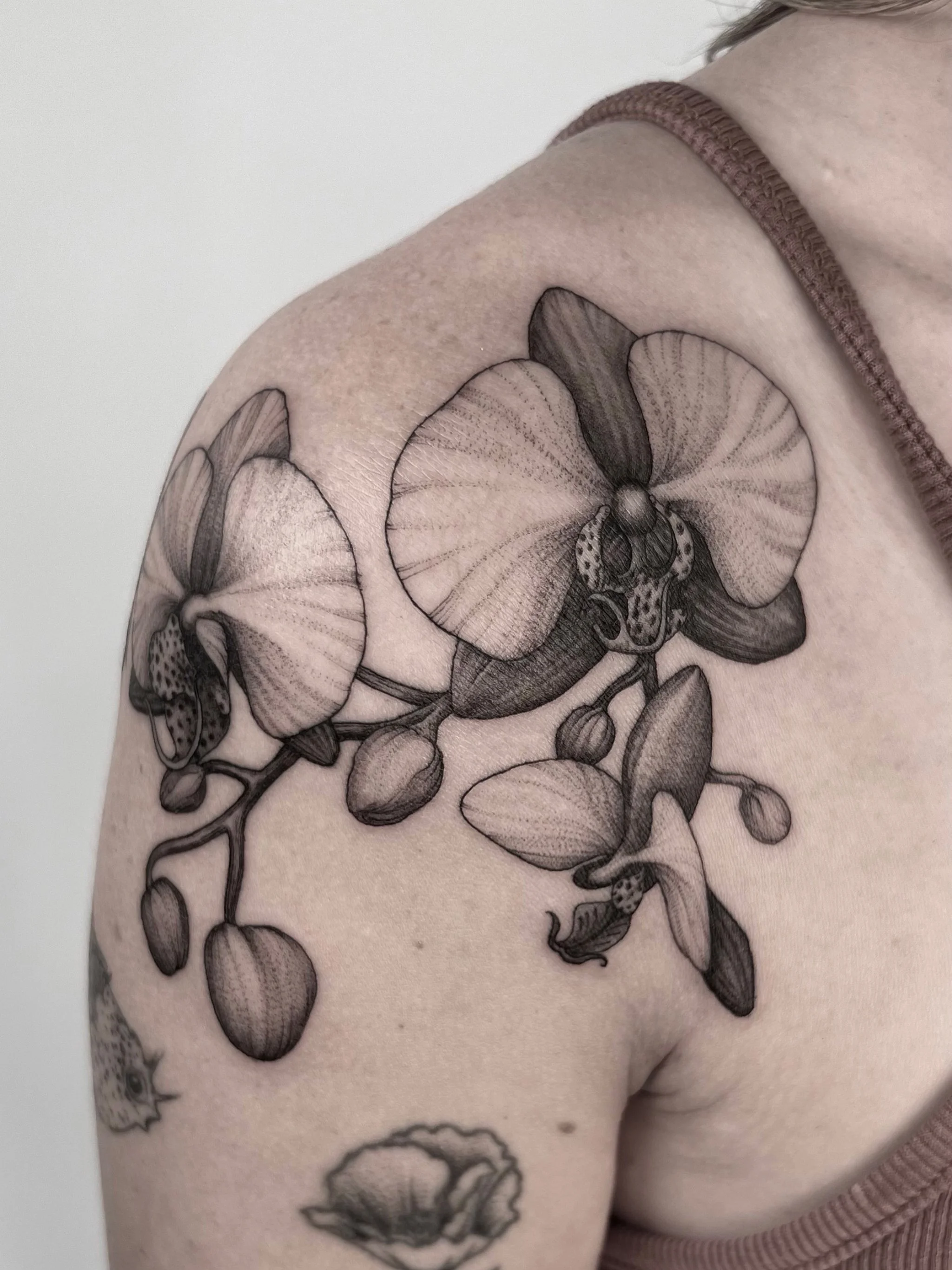 Untitled - October 10, 2024 18.13 6.jpg