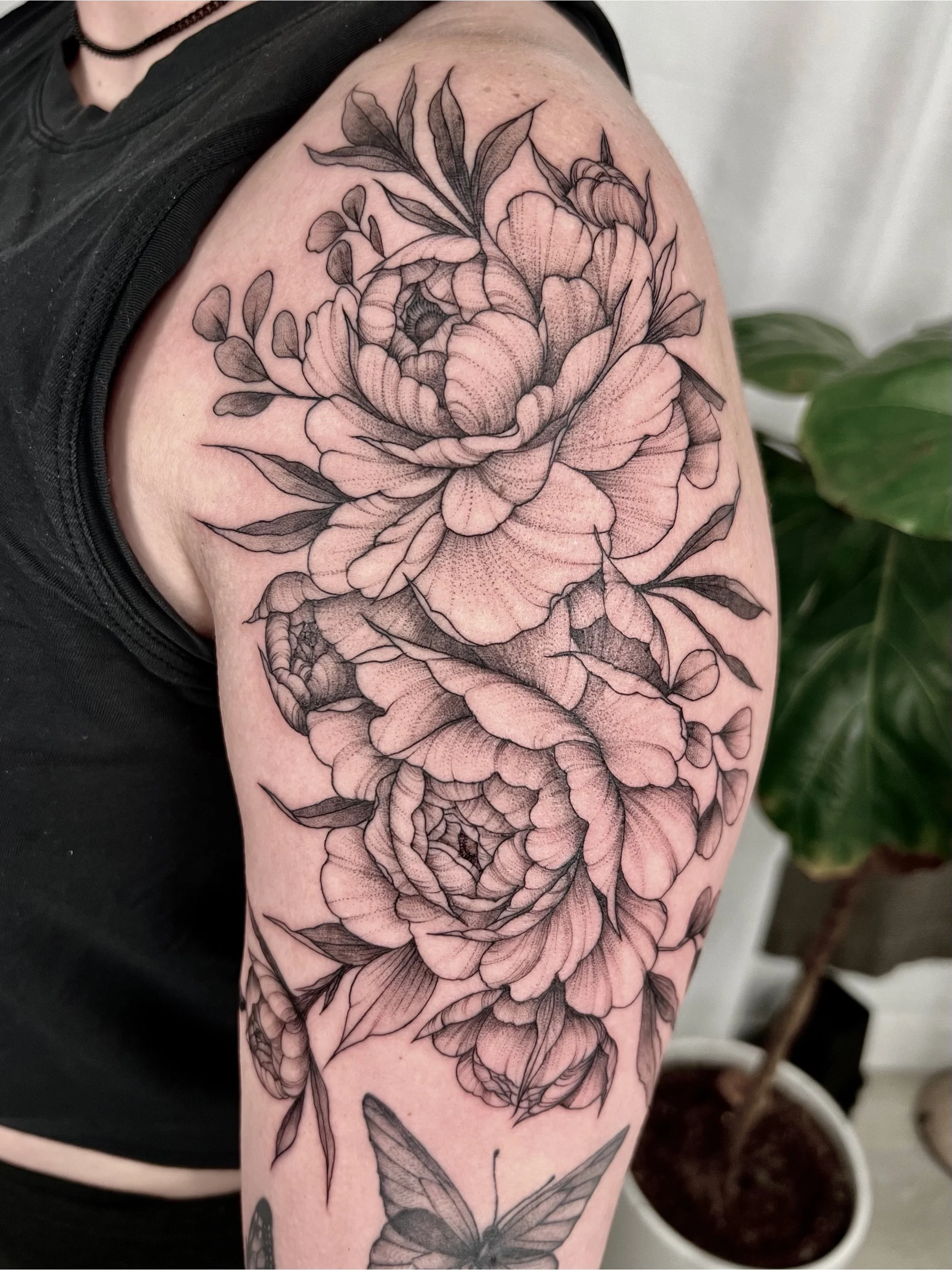 Untitled - October 10, 2024 18.13.jpg