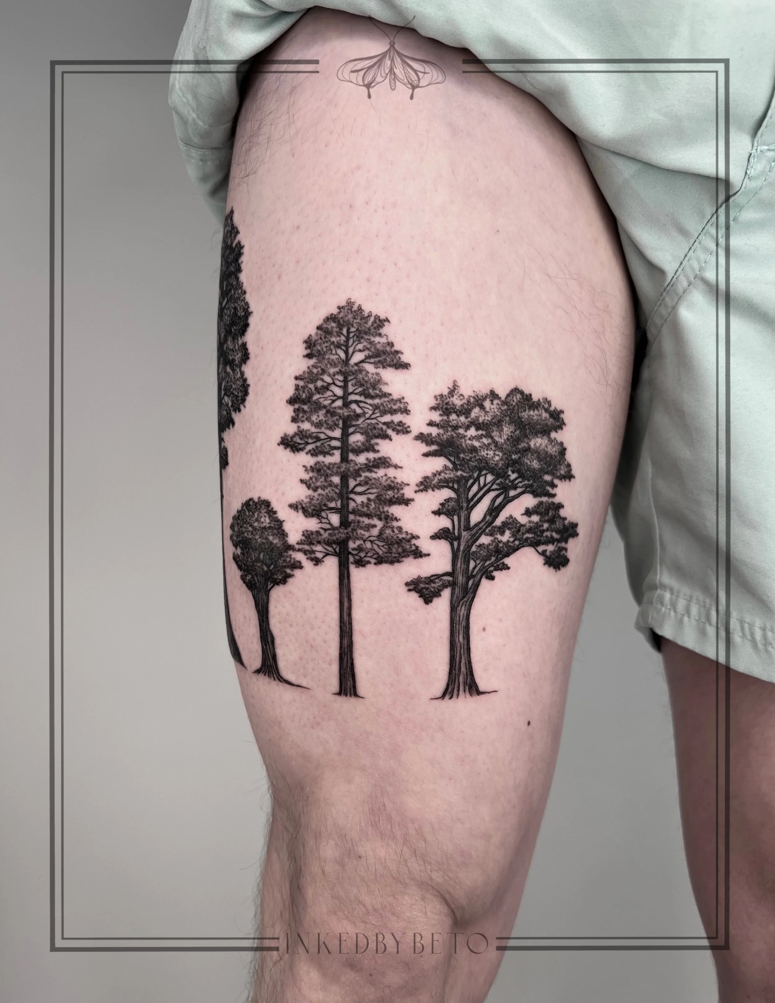 Untitled_Artwork 8.JPG