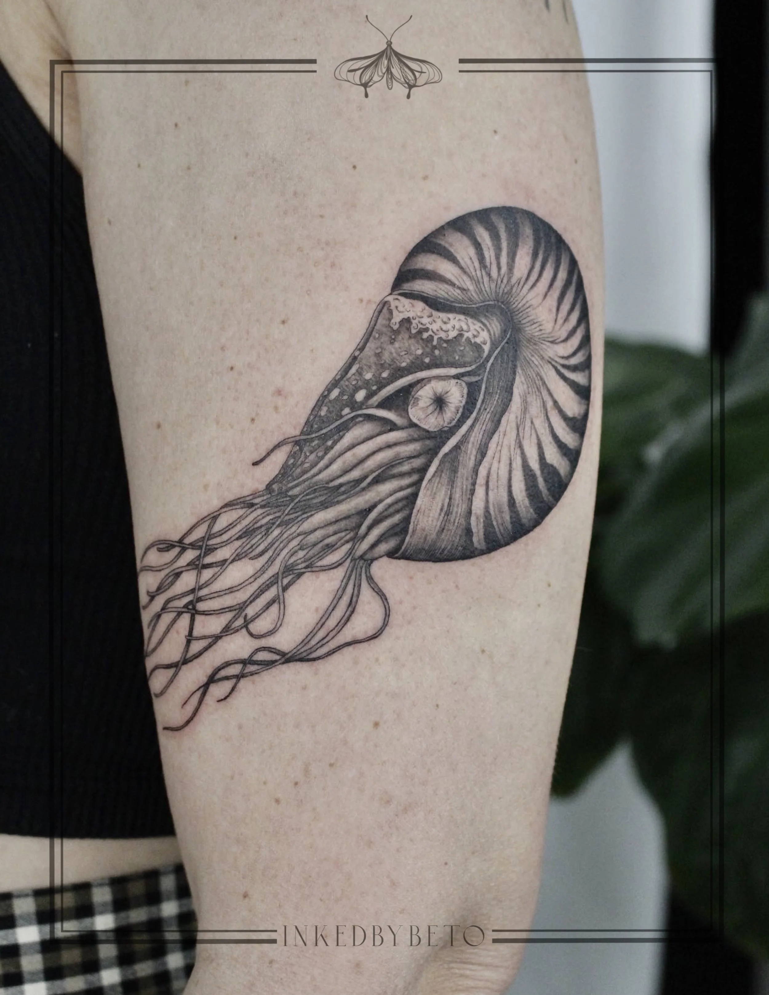 Untitled_Artwork 7.jpg