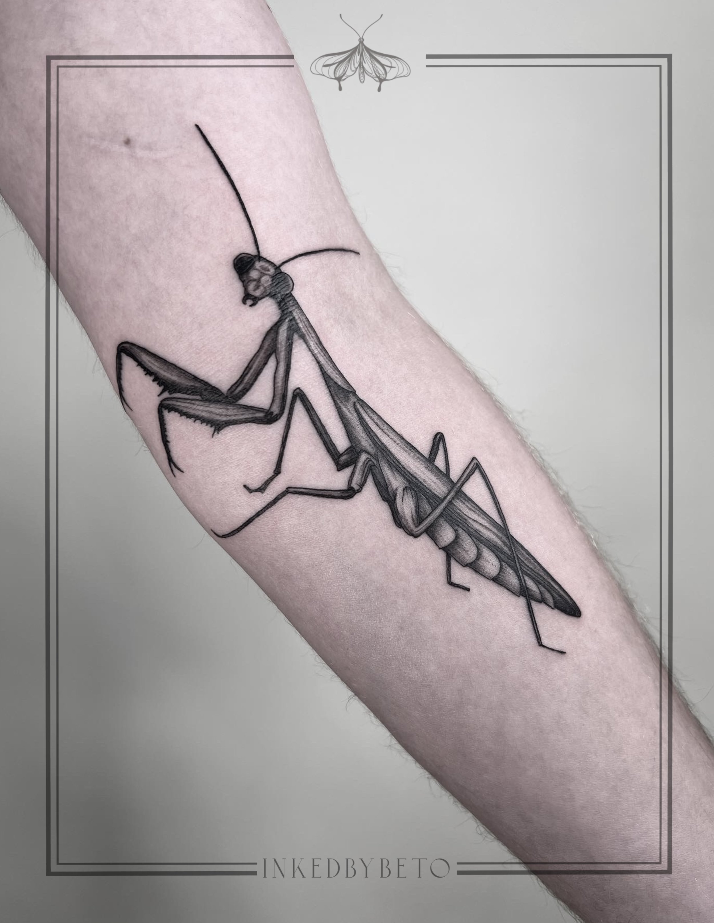 Untitled_Artwork 5.jpg