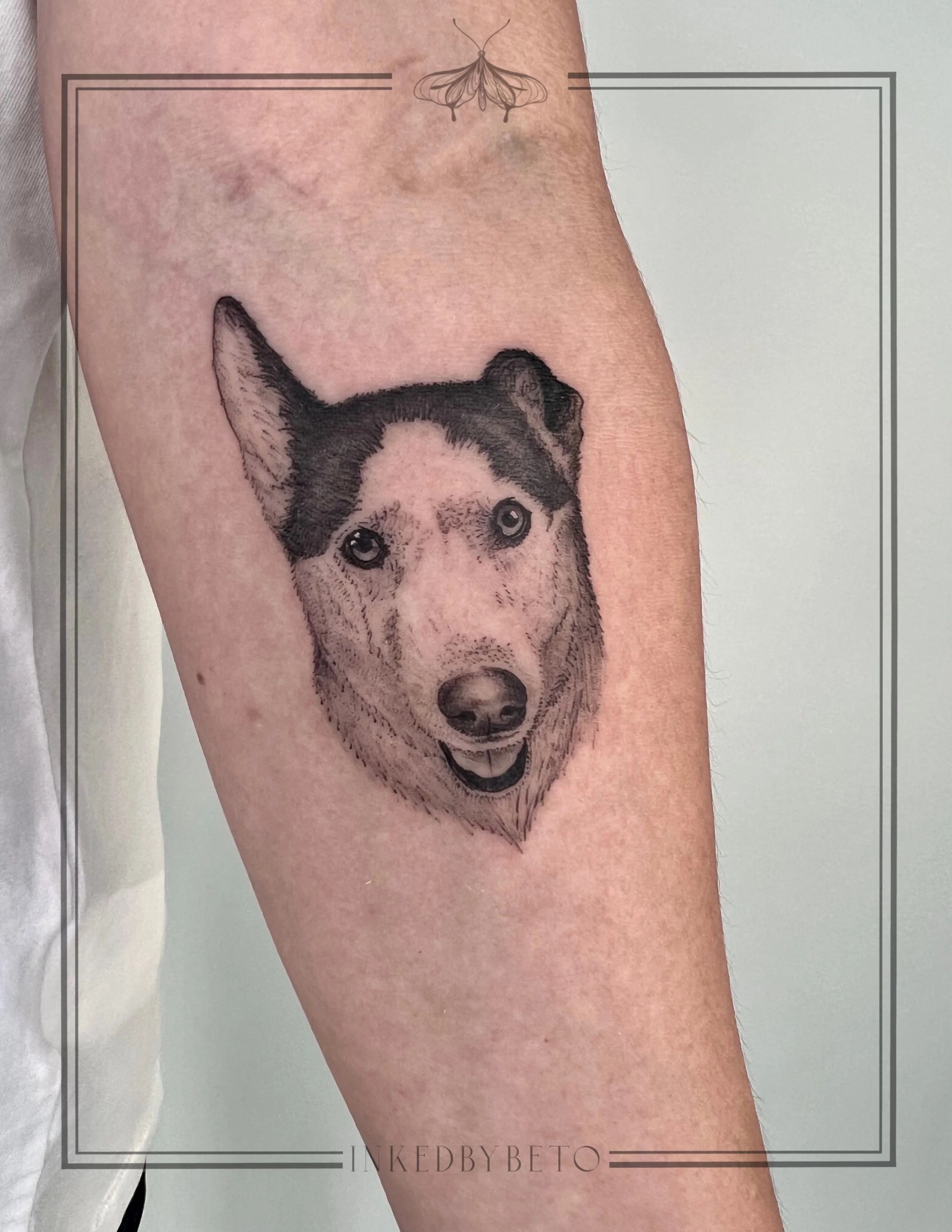 Untitled_Artwork 2.jpg