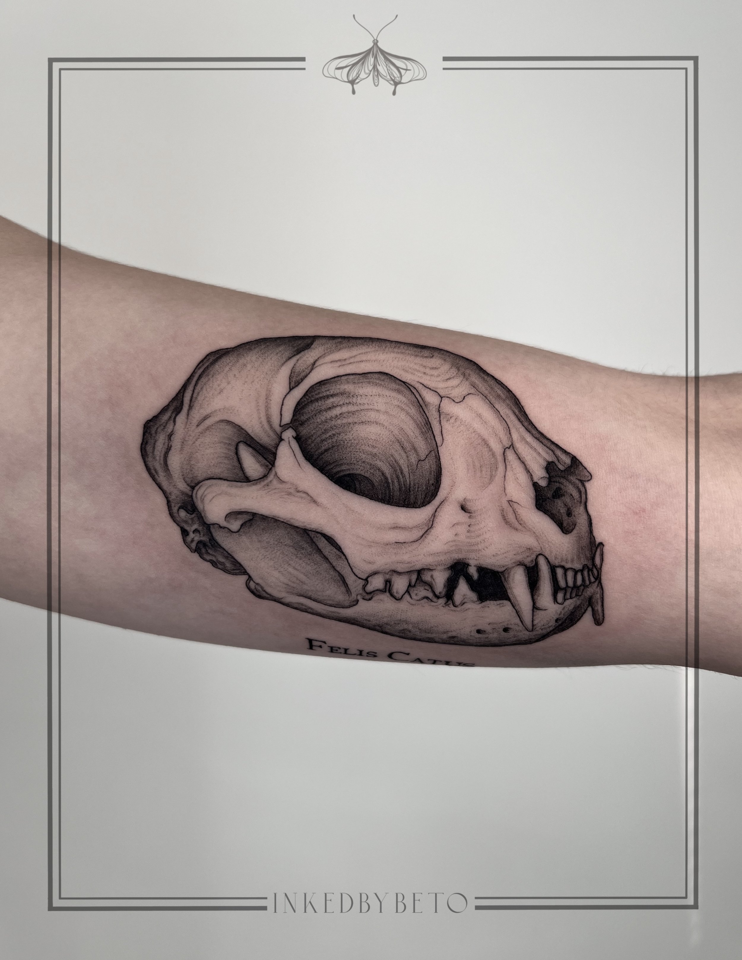 Untitled_Artwork 11.jpg