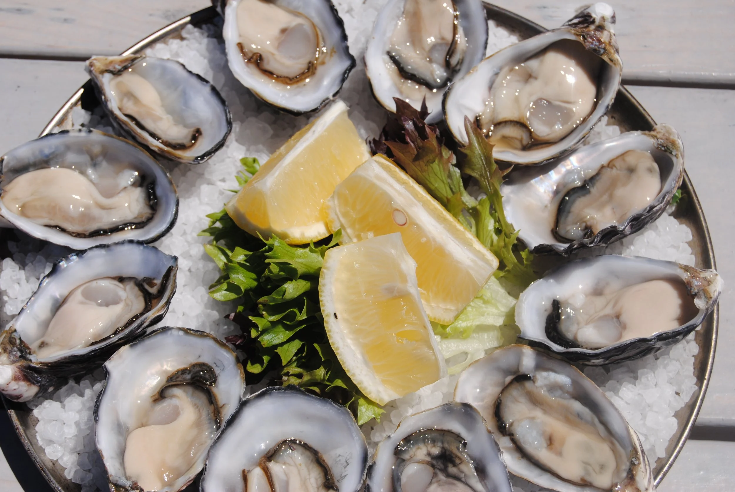 PACIFIC OYSTERS