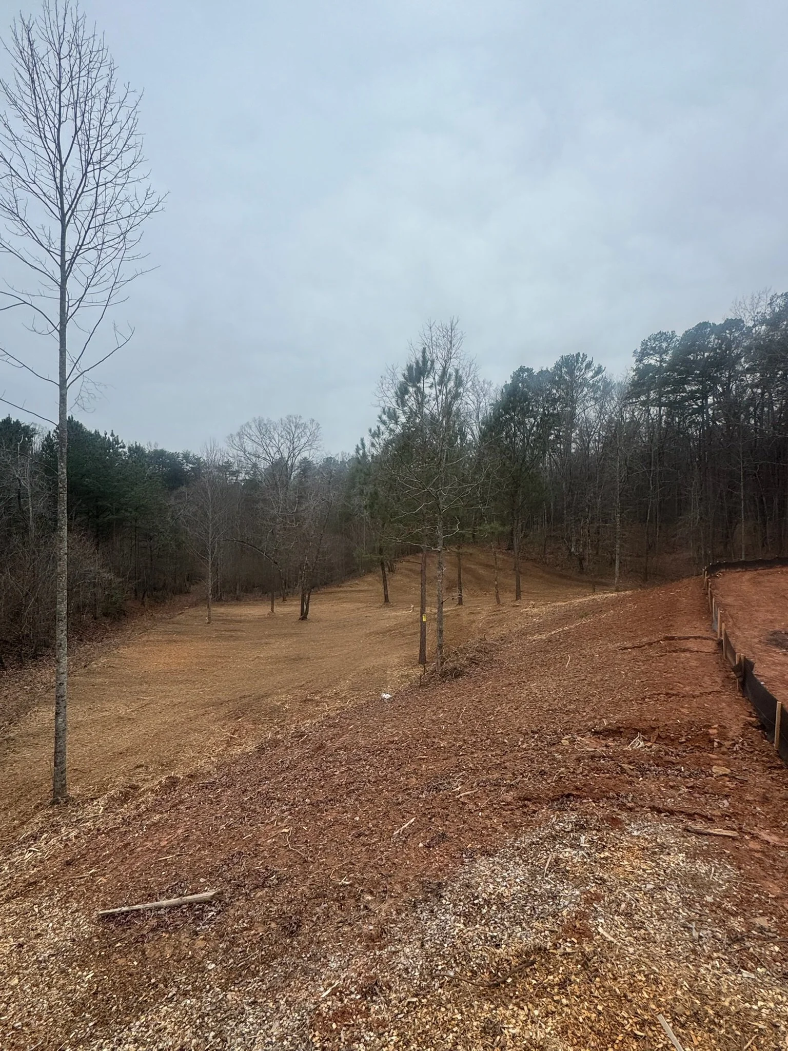 Land clearing in ellijay georgia