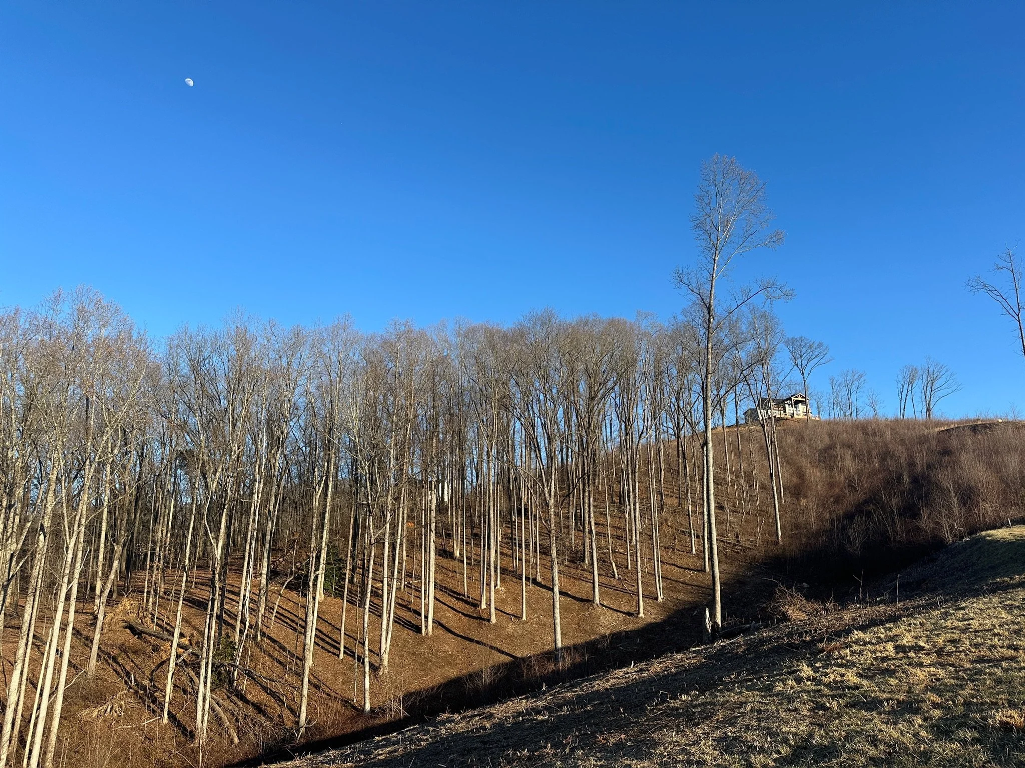 Foresty mulching subcontractor