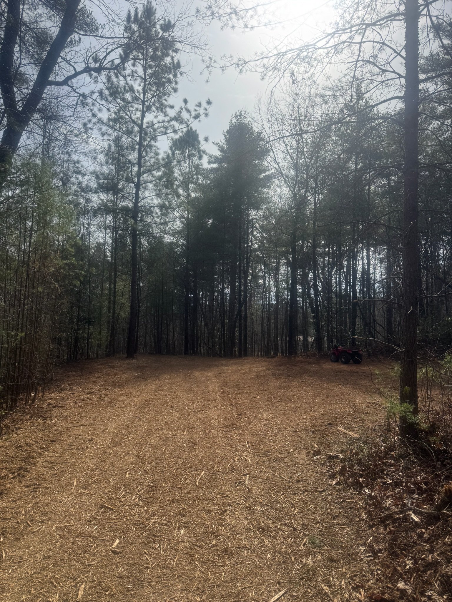 new home grading in ellijay georgia