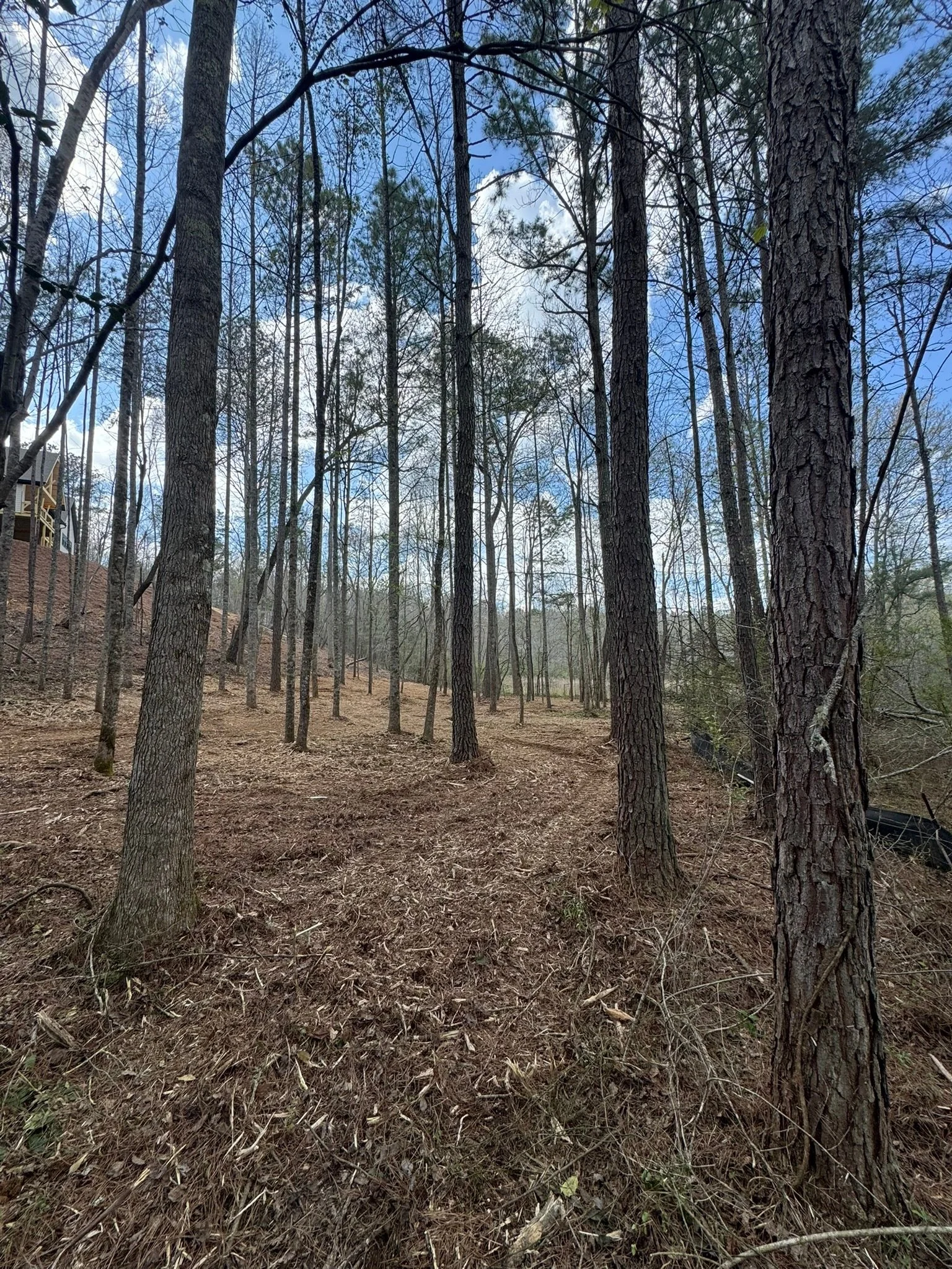 mulching services