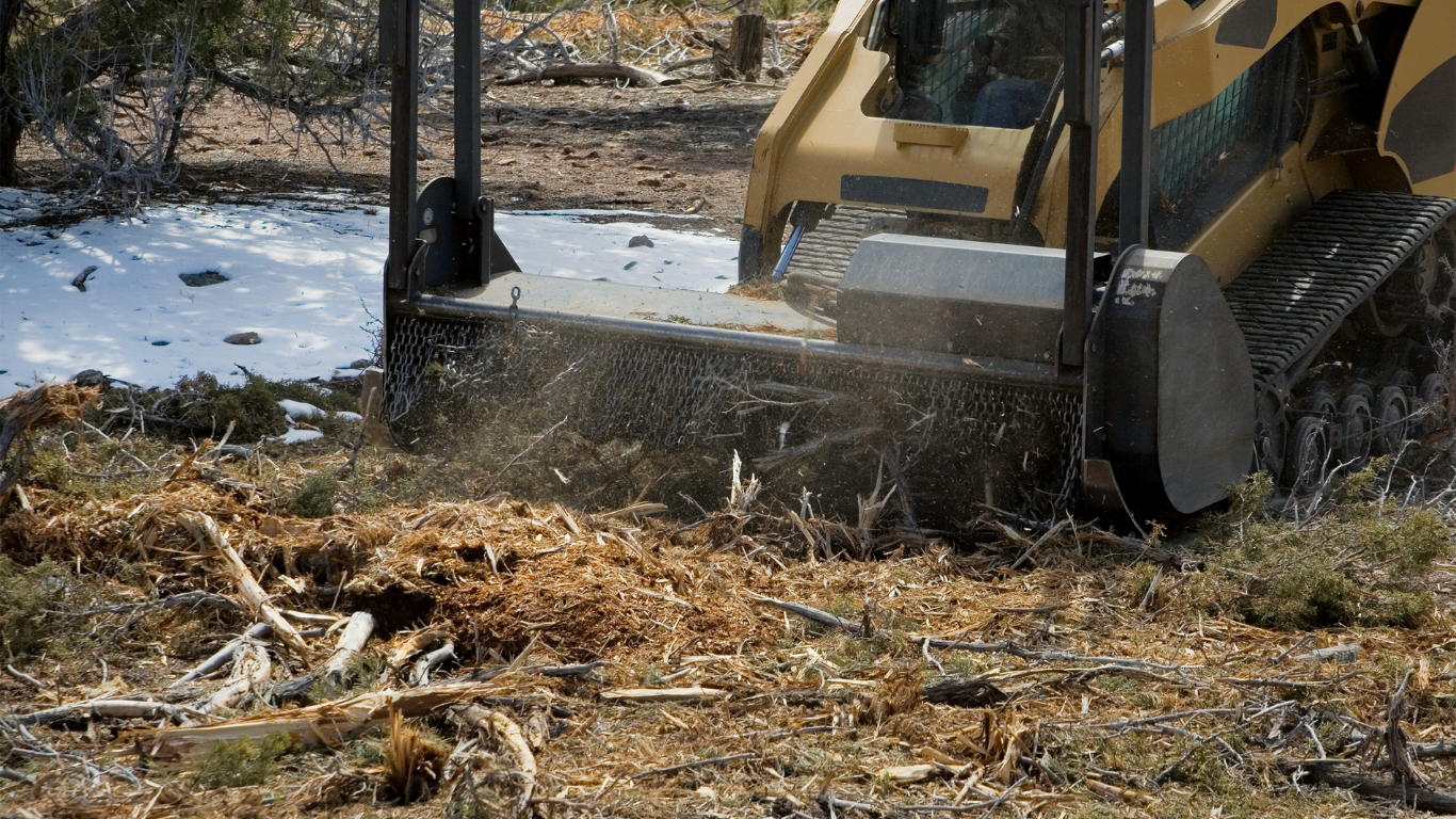 North Georgia Land Clearing & Forestry Mulching | Ferguson Site Works