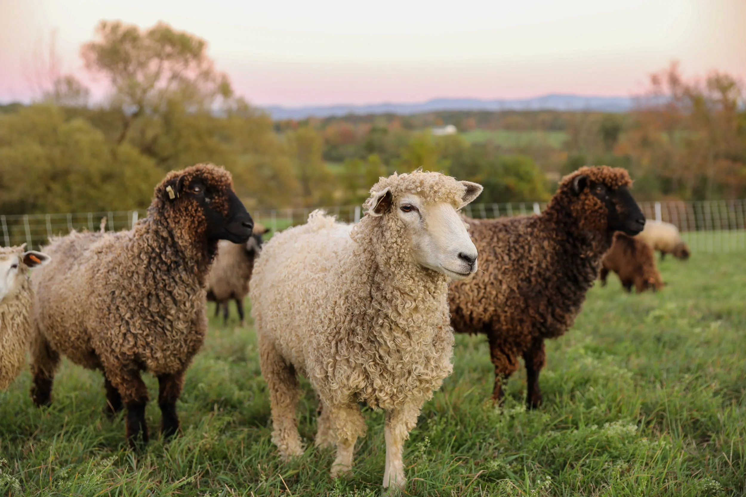 ZVD Photography for NWL 25-233.jpeg