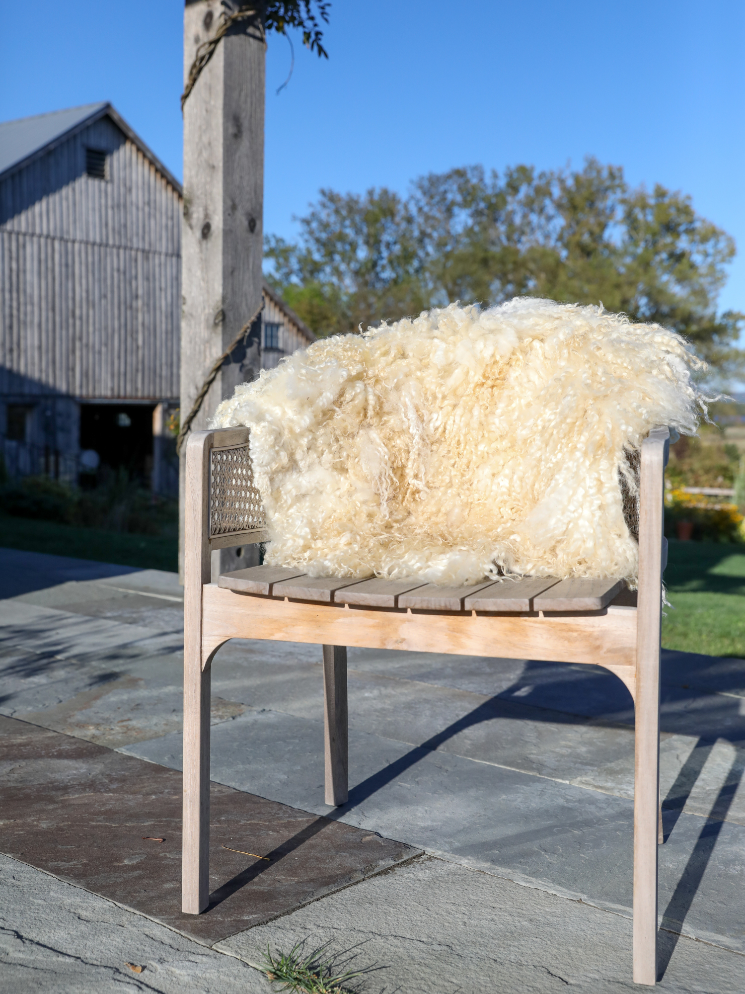Felt Pelt Sheepskin 5.png