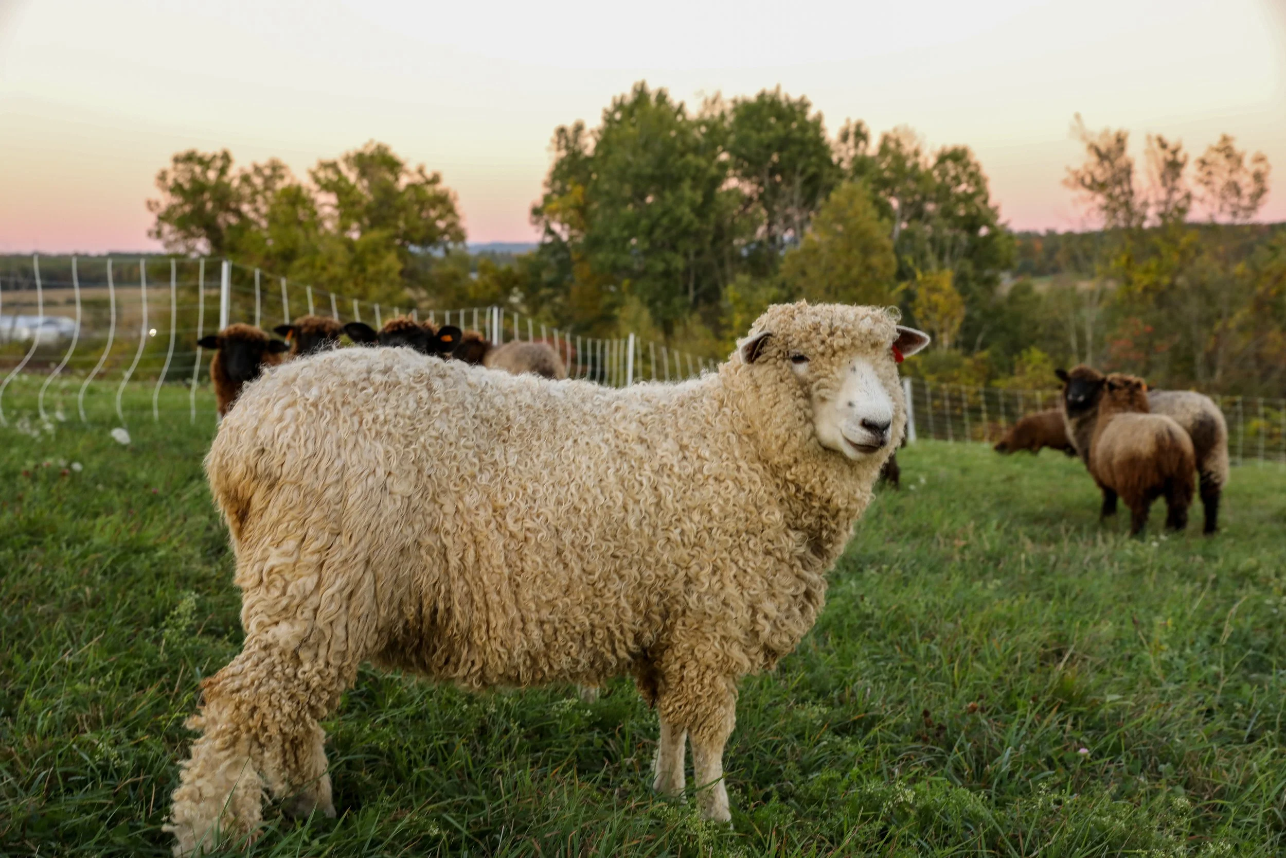 ZVD Photography for NWL 25-219.jpeg