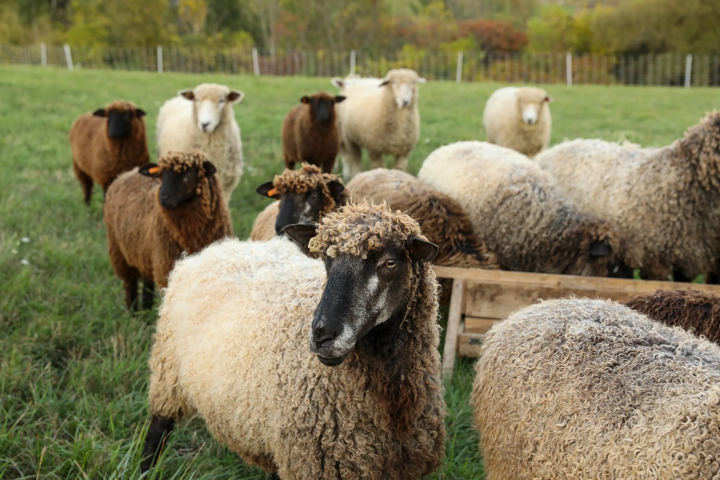 ZVD Photography for NWL 25-196.jpeg