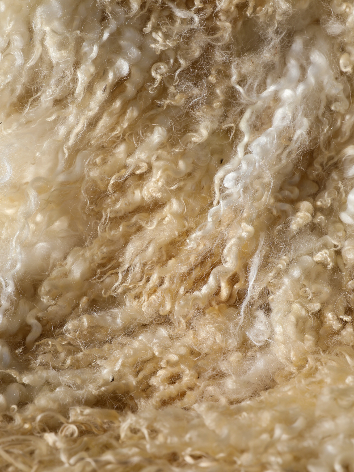 Felt Pelt Sheepskin 2.png