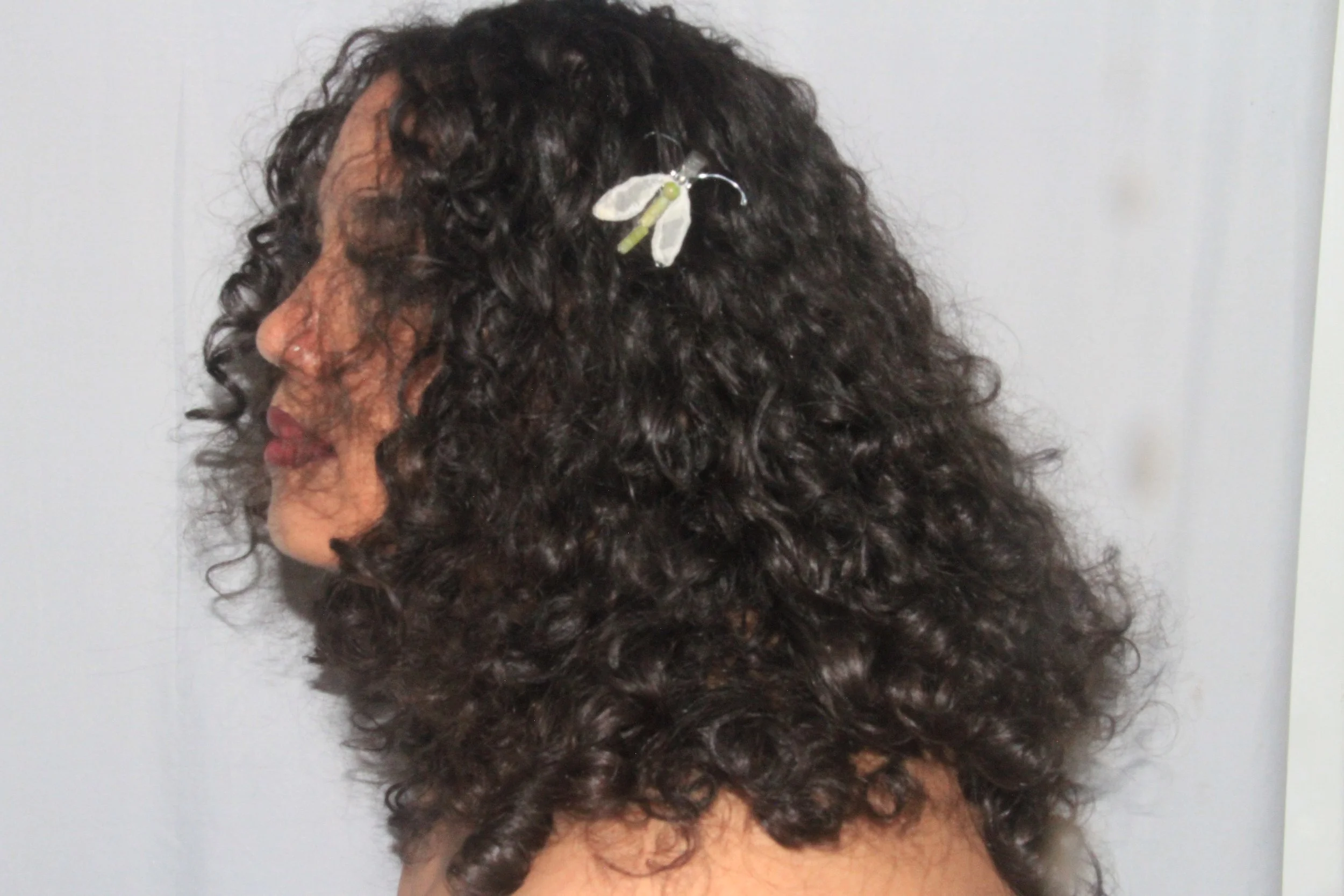 Lacewing