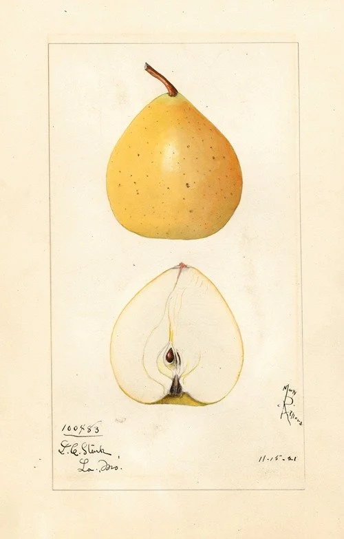 POM00007537.jpg
