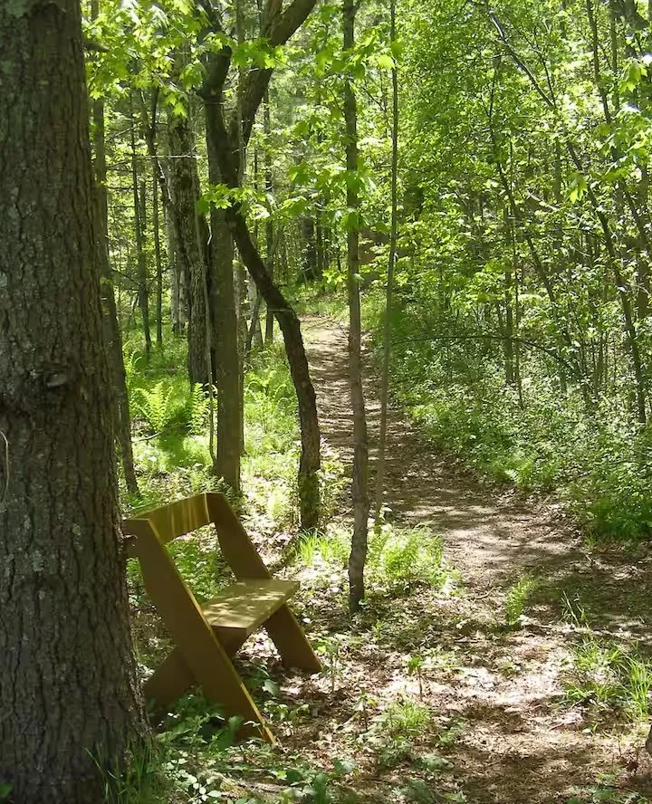 Barred Owl Trail.jpeg