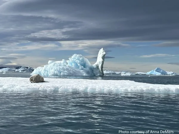 Soup Lunch: Exploring the Antarctic Peninsula- Hunt Hill