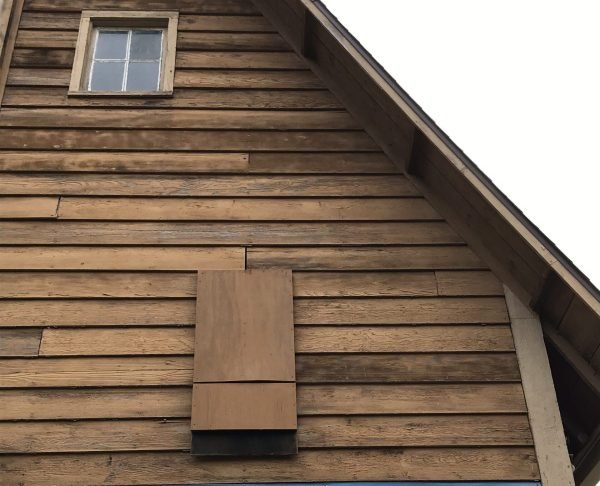Citizen Science: Bat Roost Count-Hunt Hill.
