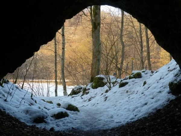 Hunt Hill : Little Explorers; Cozy Dens & Winter Homes