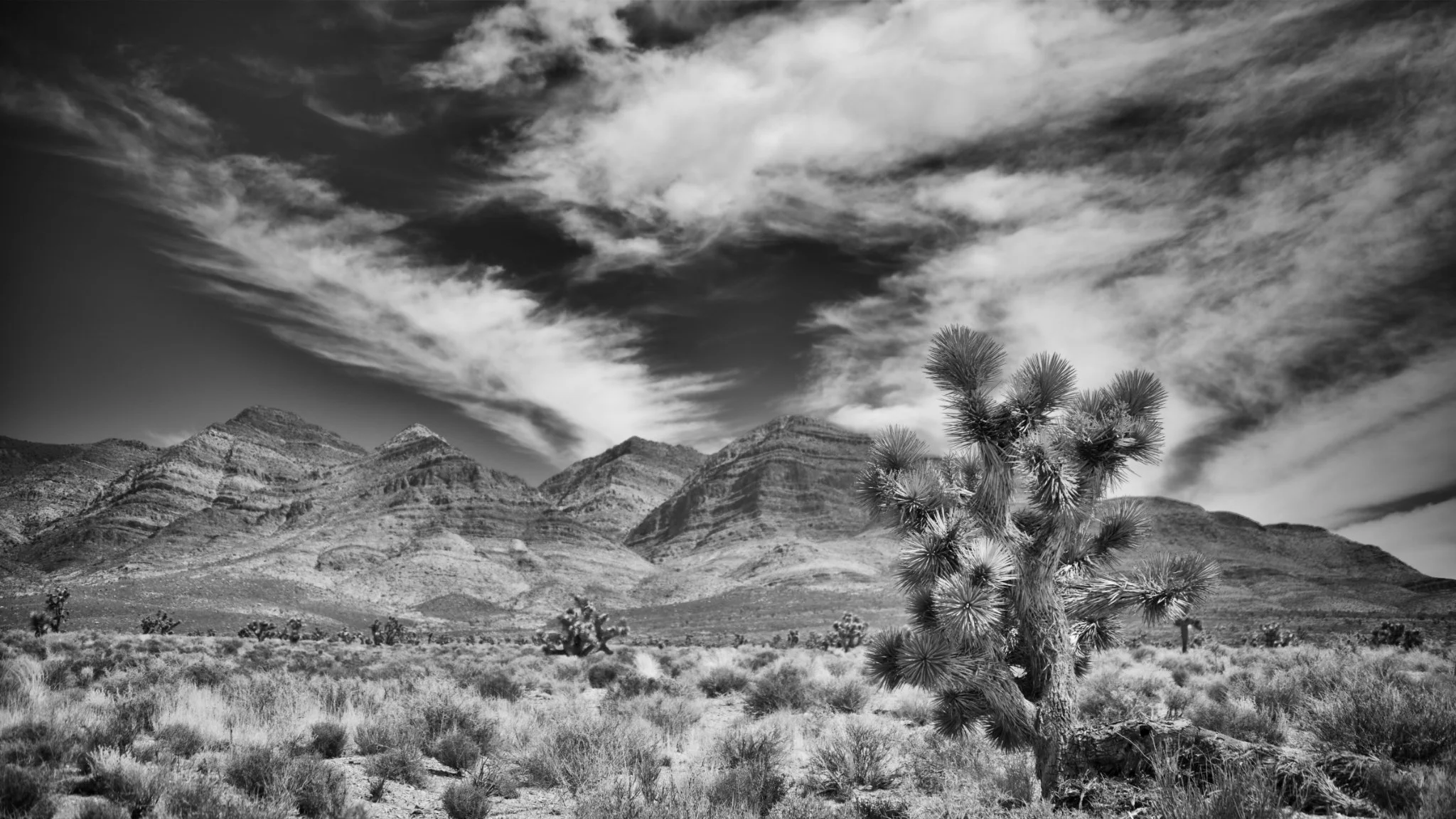 Desert Scape No.1