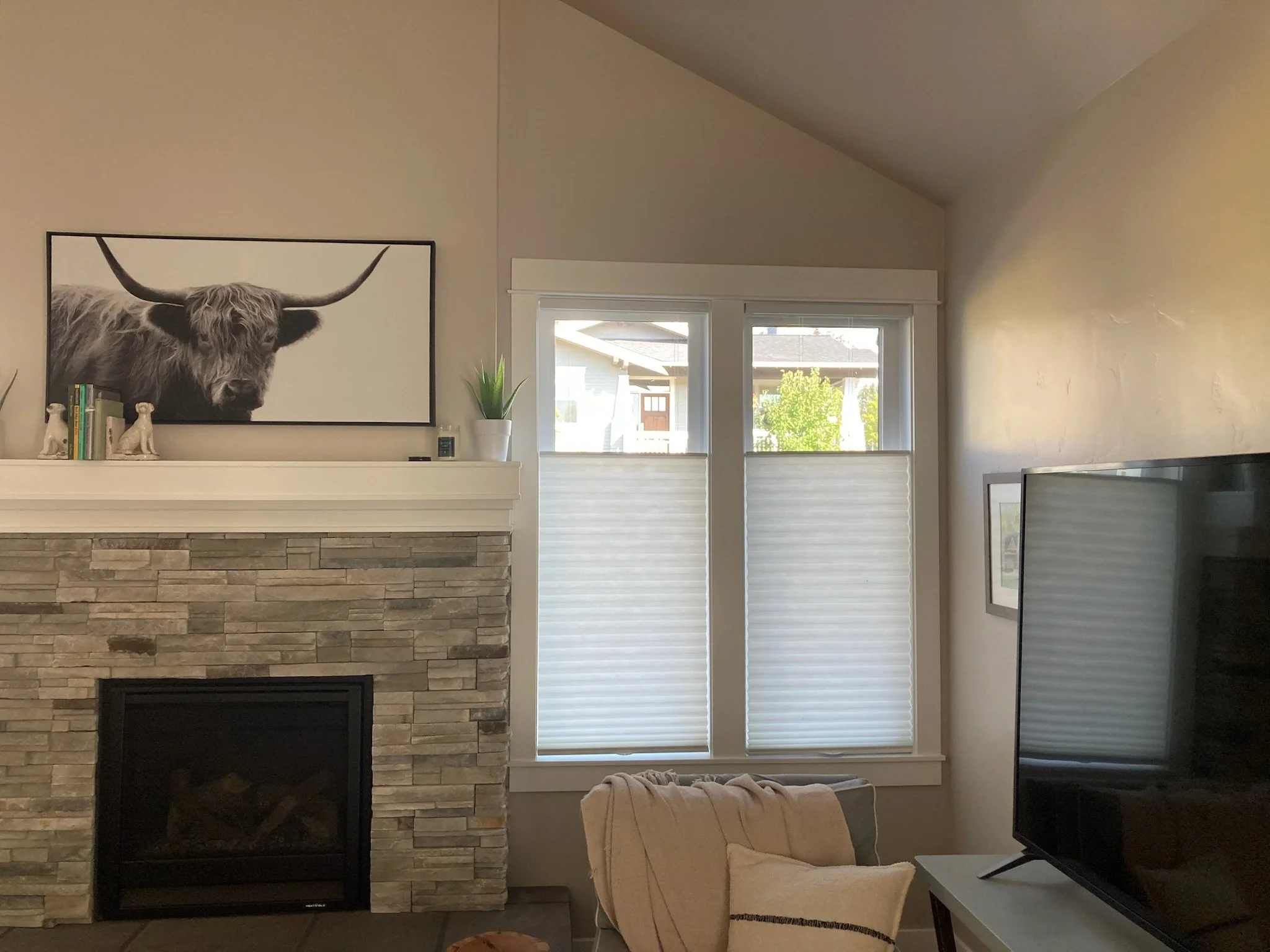 Transforming Light &amp; Life