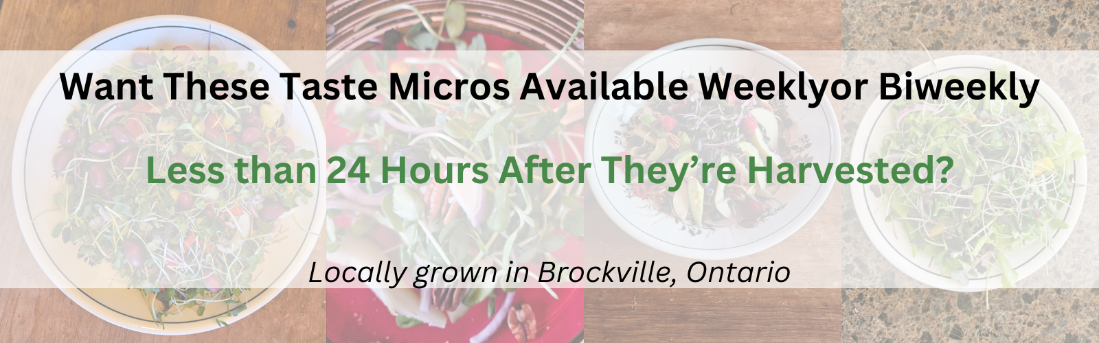 Promotional image for microgreens with text overlay, featuring fresh salad bowls, highlighting availability in Brockville, Ontario.